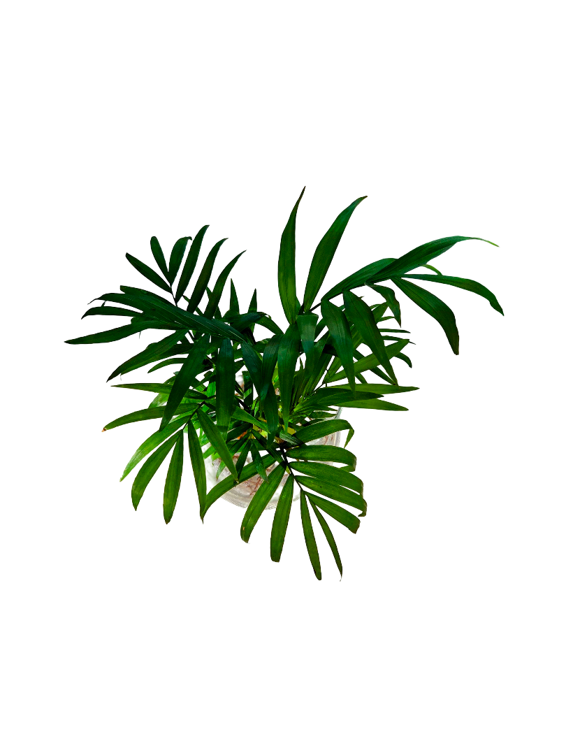 20260916_163618-EDIT (1).png