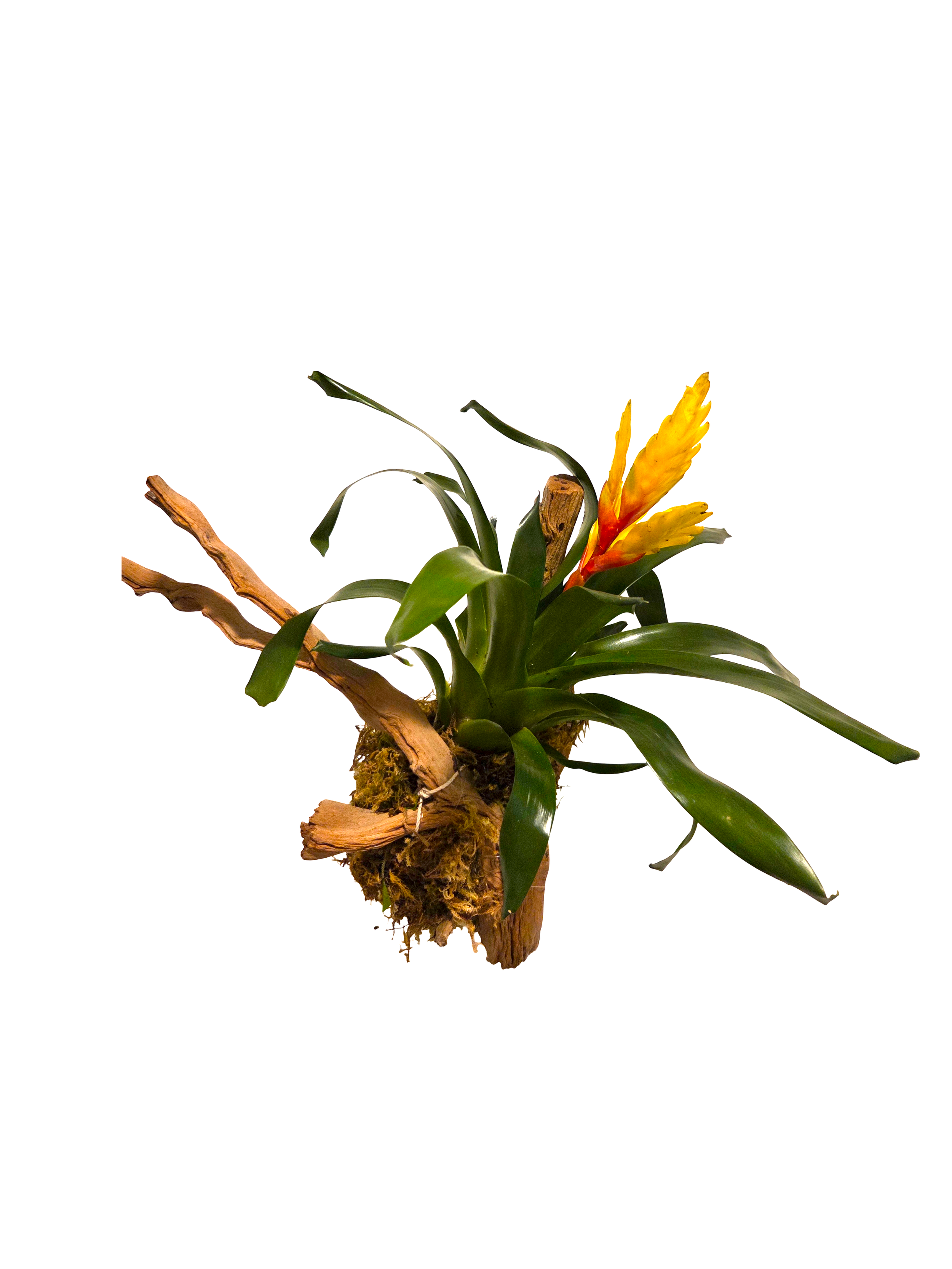 20261024_180858 (1).png