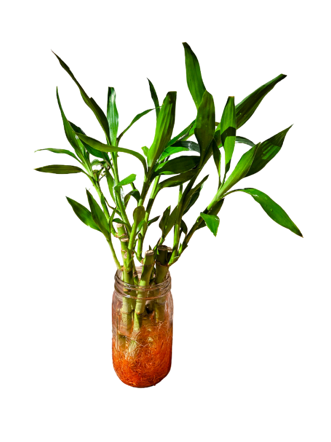 20260918_154907-EDIT (1).png
