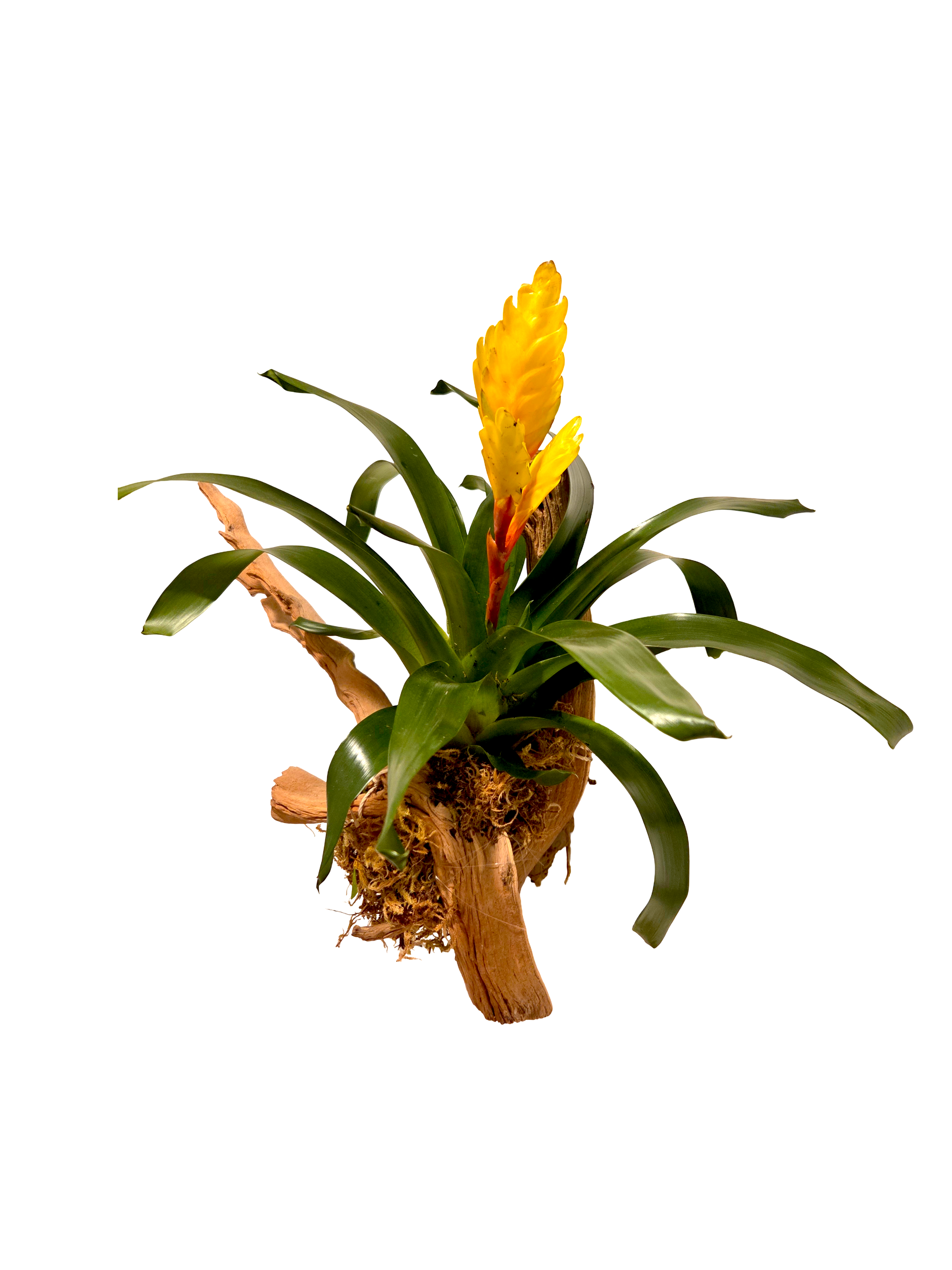 20261024_180901 (1).png