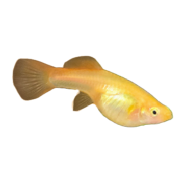 20260821_144021%252B%2525281%252529.png