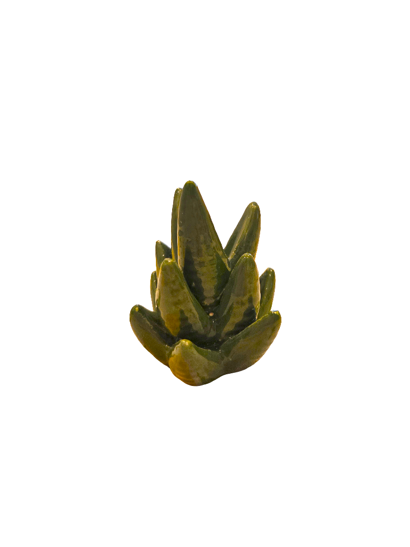 20260827_155713.png