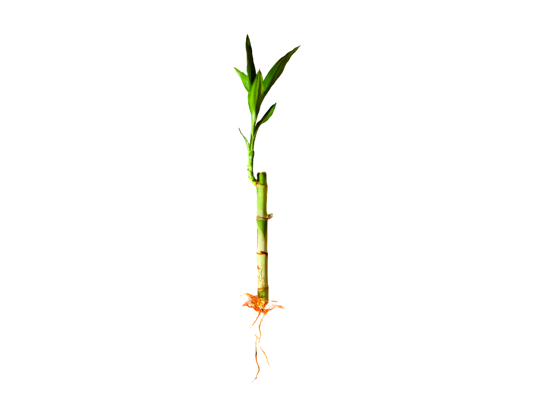20260918_155106-EDIT.png