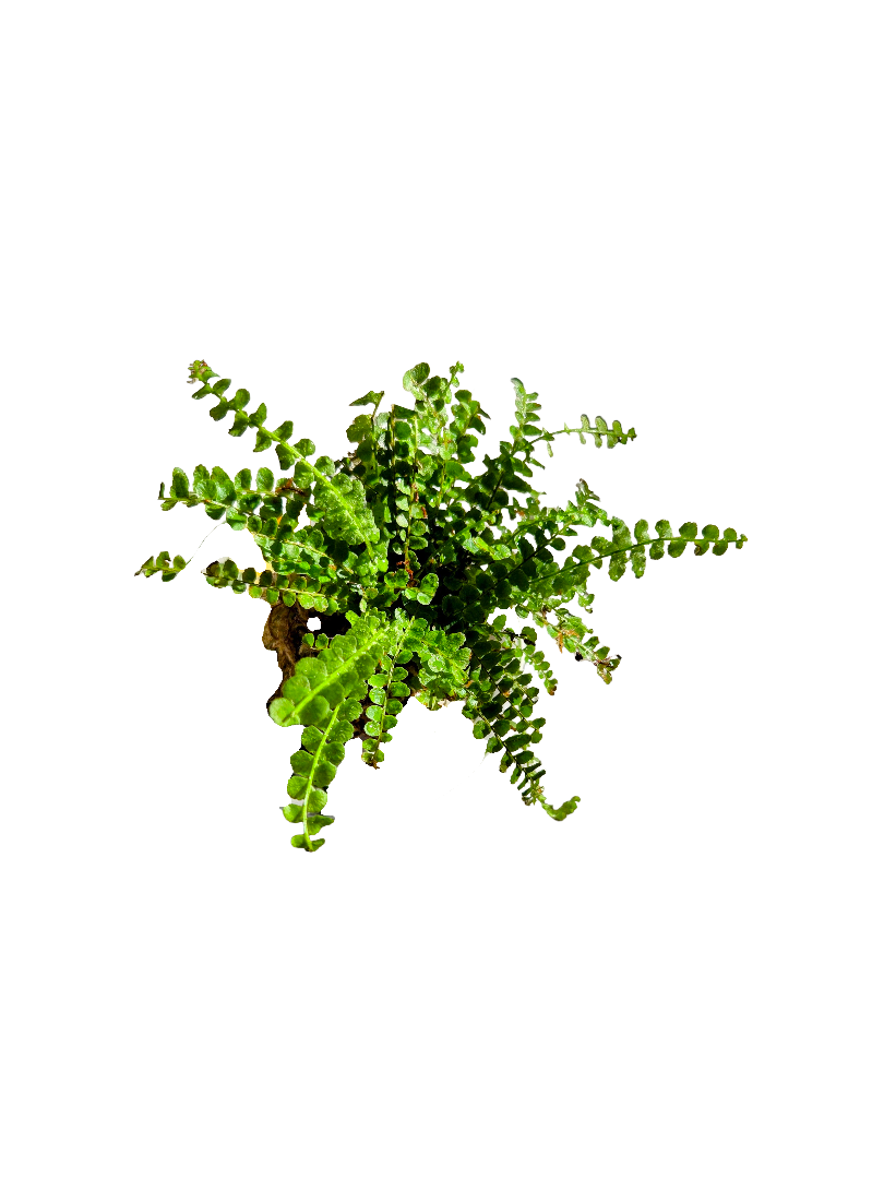 20260908_171202-EDIT (1).png