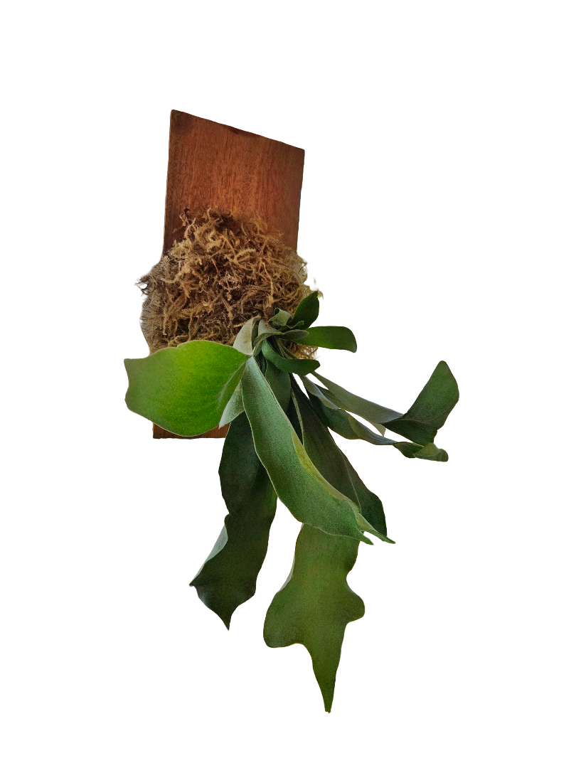 20260818_101617~2.png