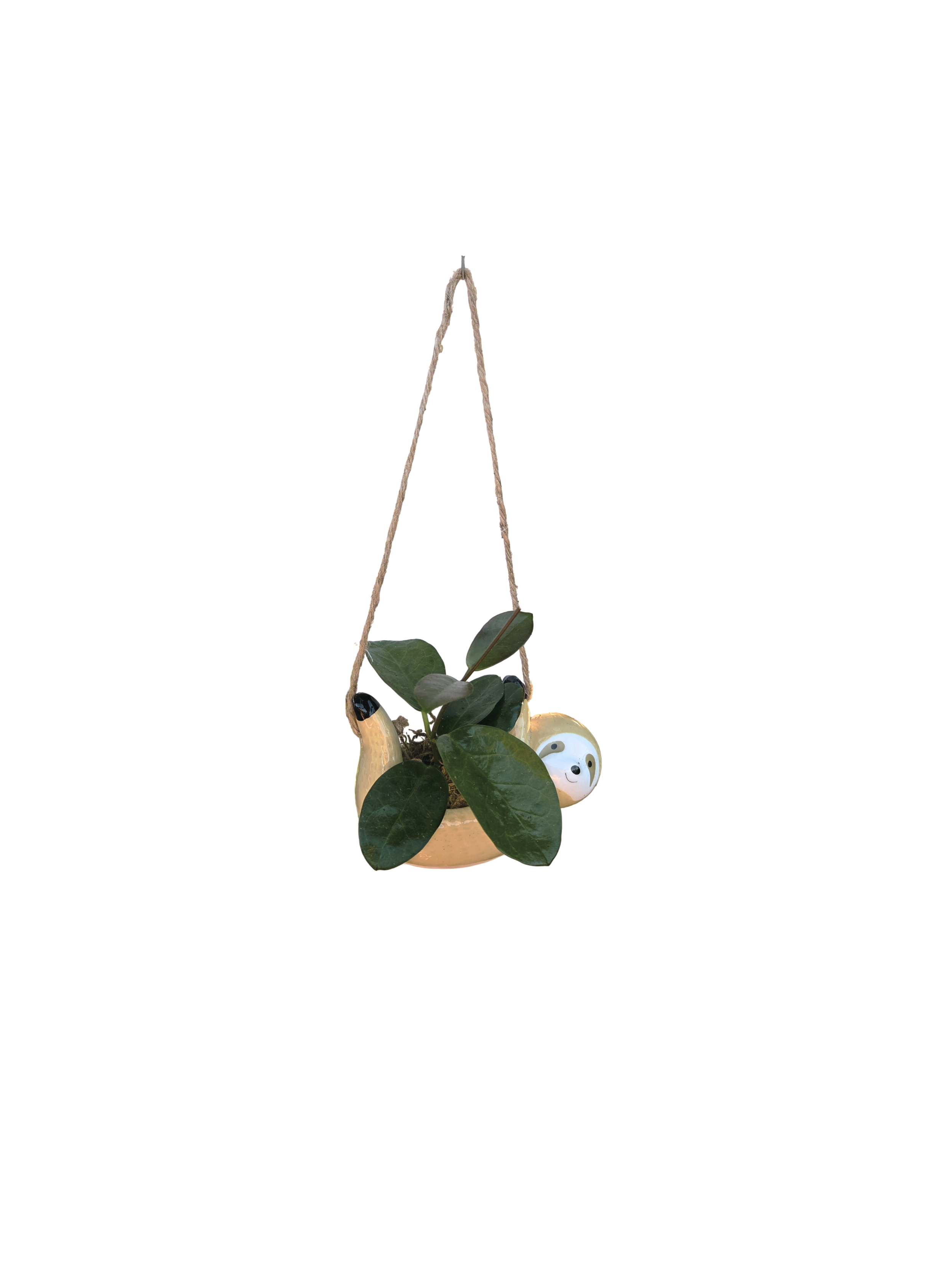 Untitled%252BDesign%252B%2525289%252529.png