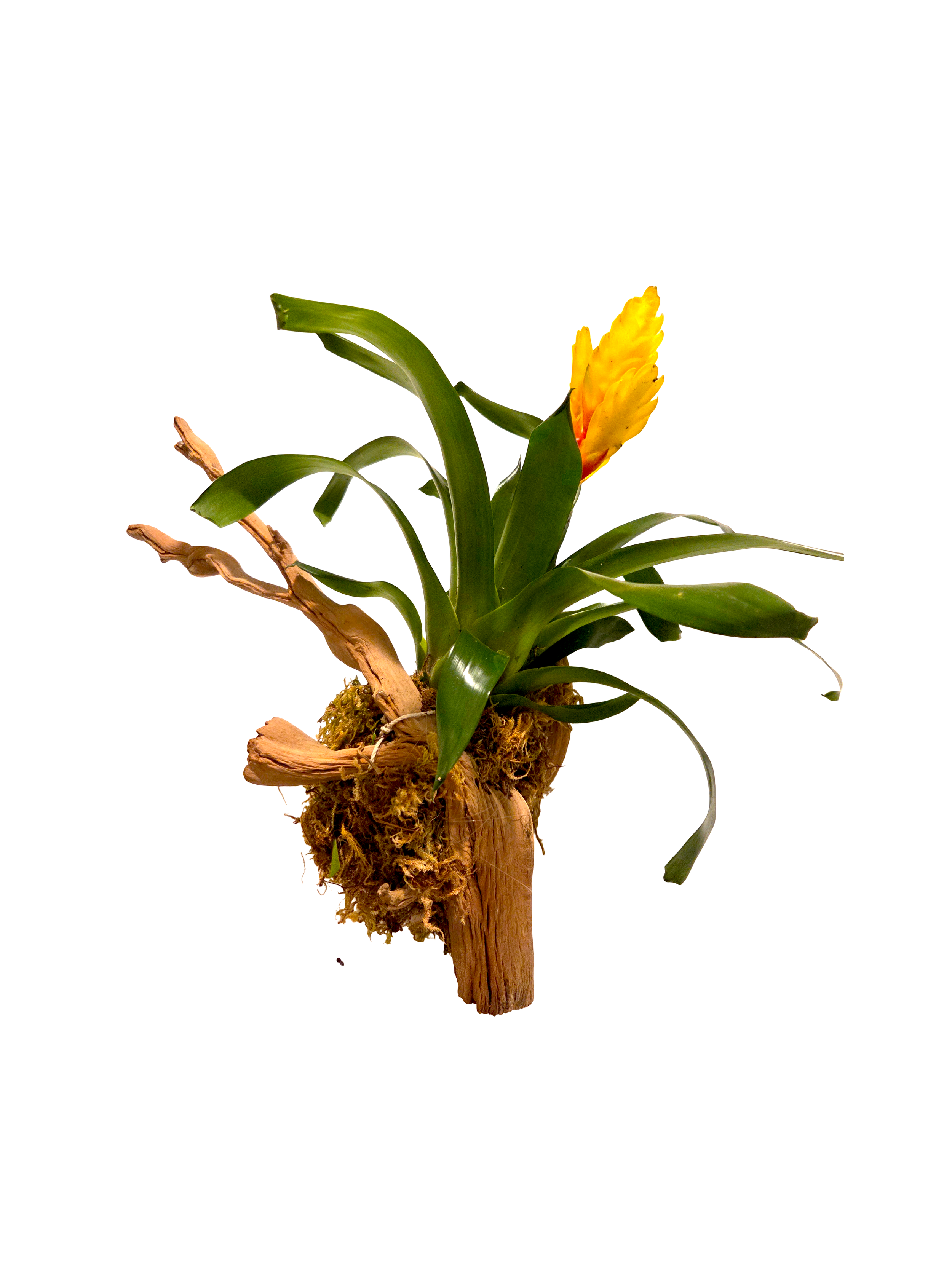 20261024_180907 (1).png
