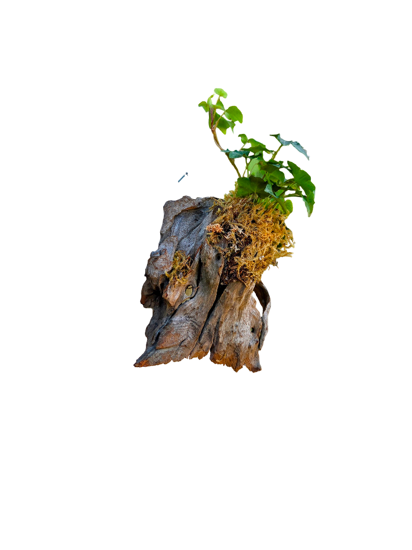 20260915_143517-EDIT.png