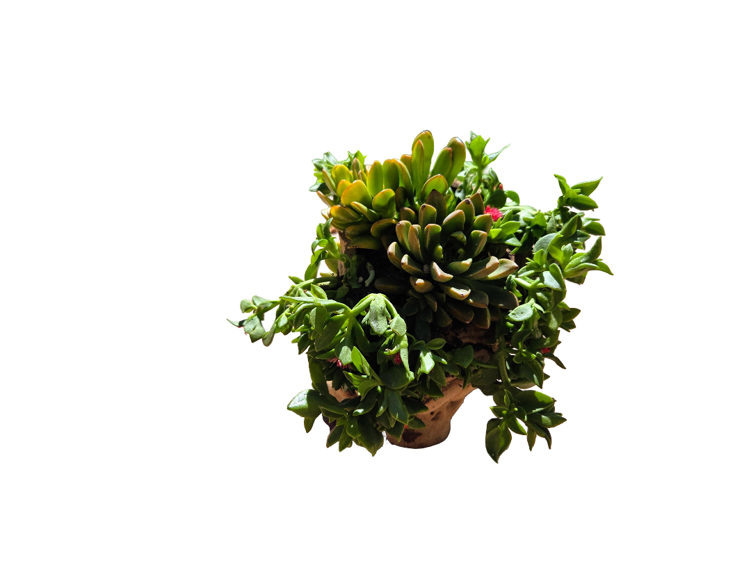 20260904_114545.png