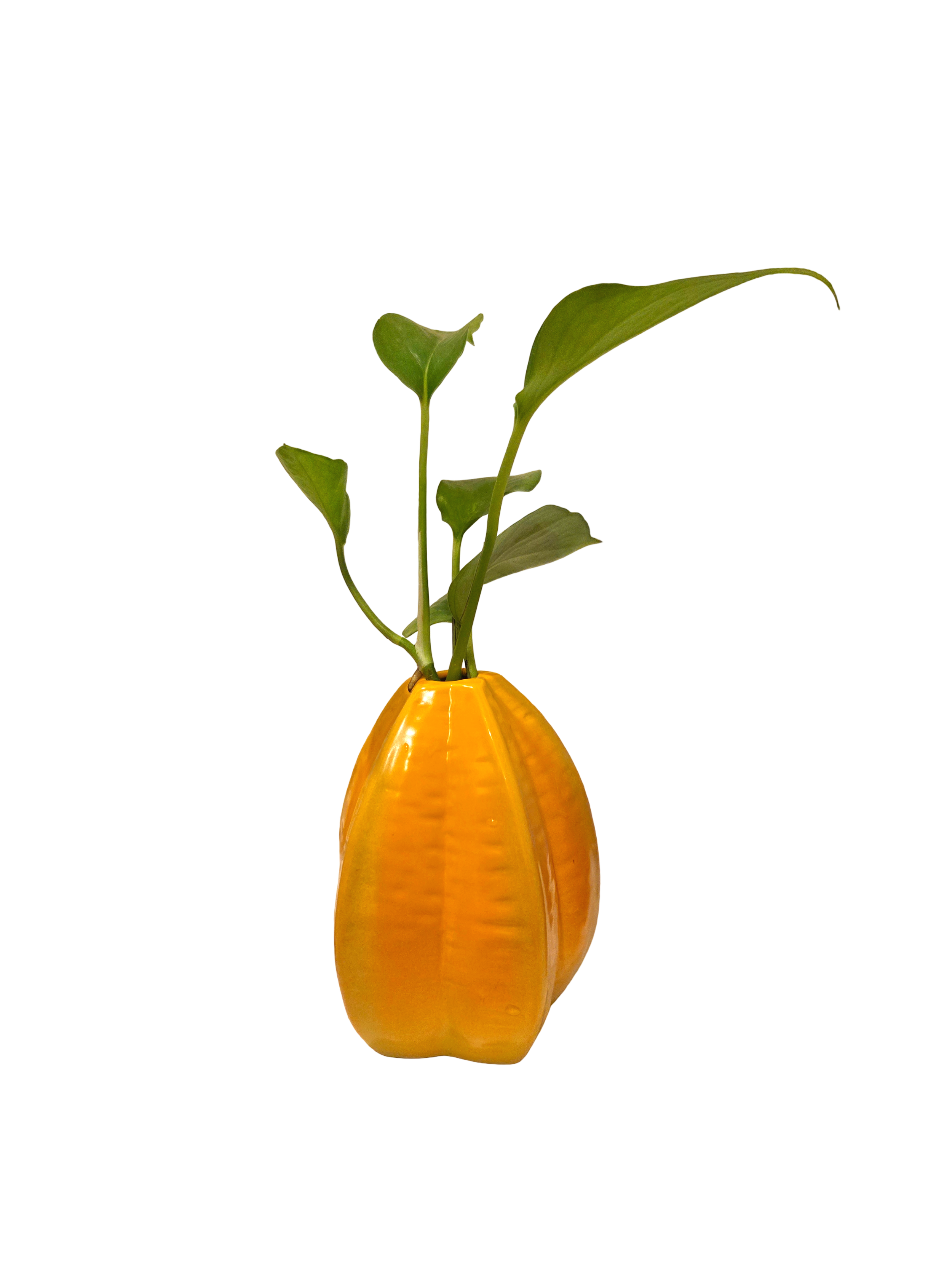 20261016_2004541.png