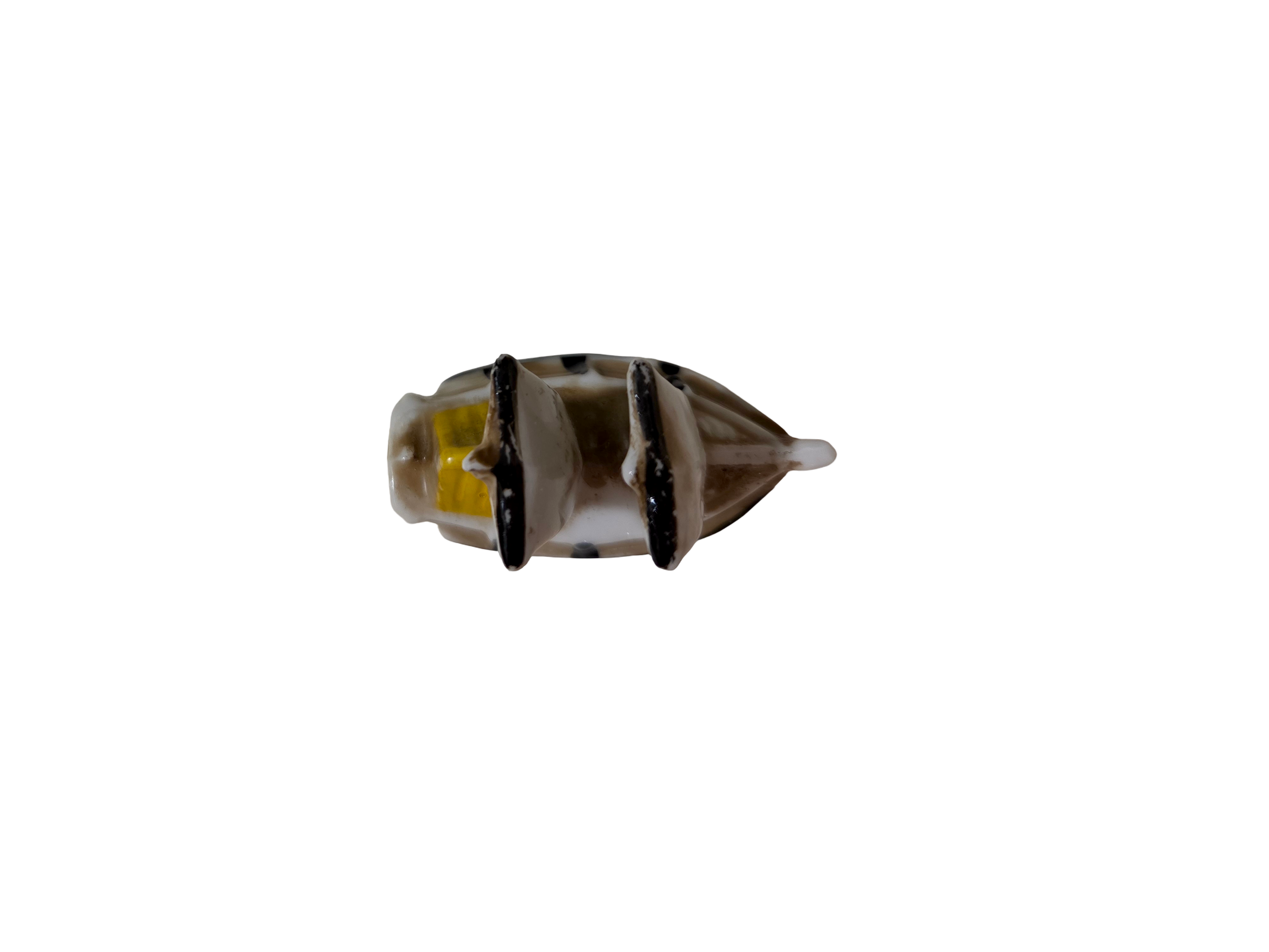 20261024_162435 (1).png