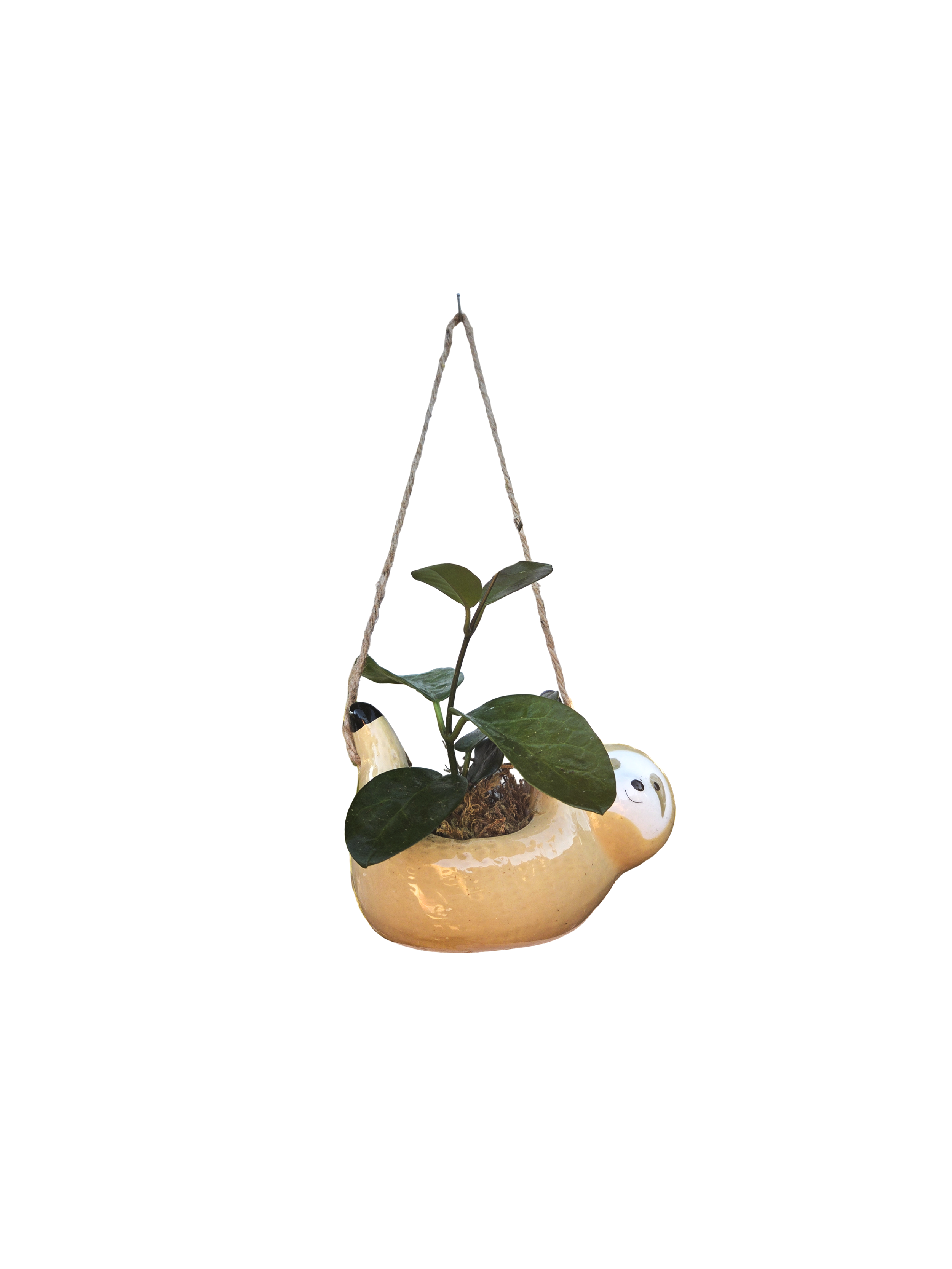 Untitled%25252BDesign%25252B%252525288%25252529.png