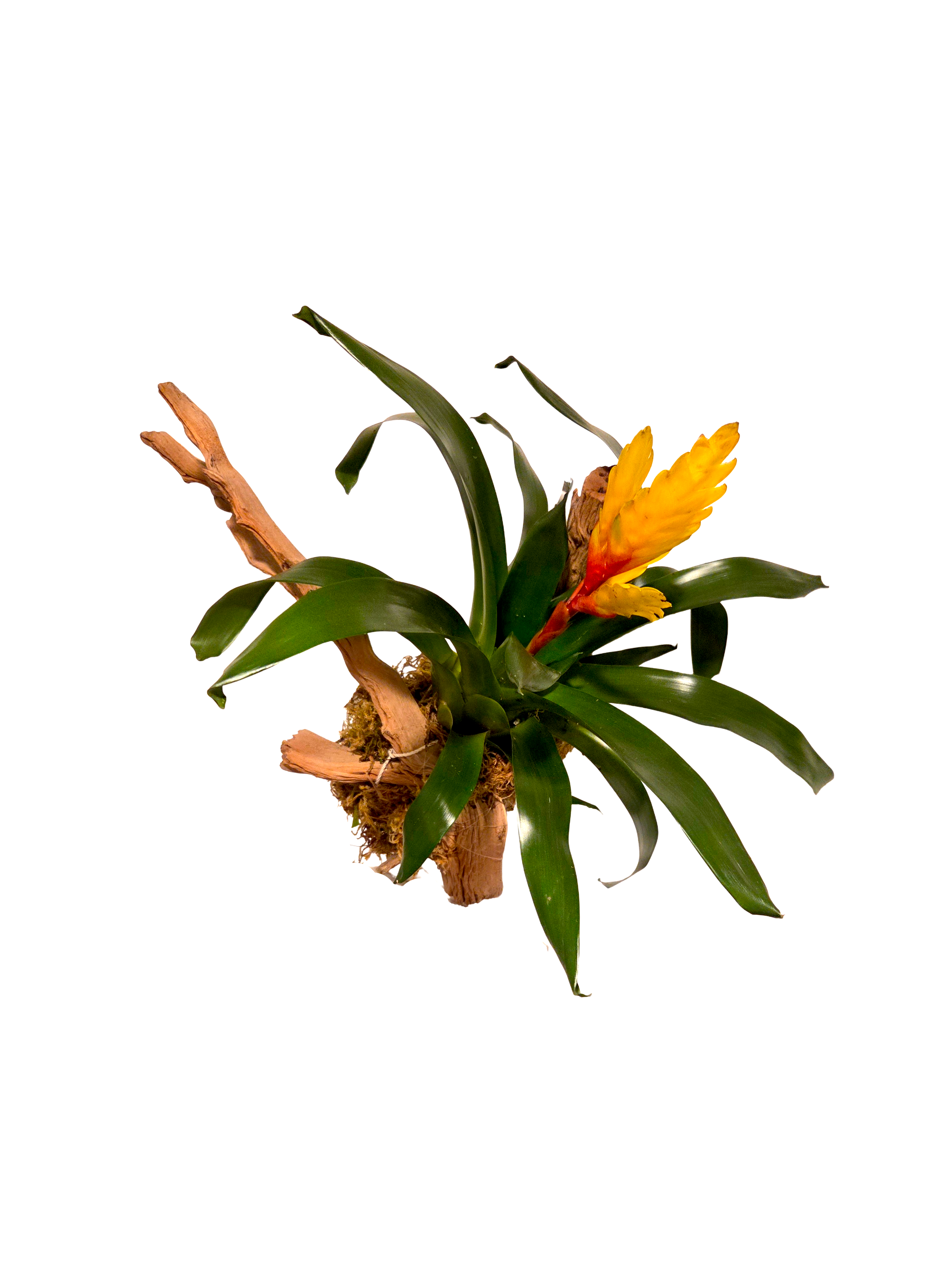 20261024_180912 (1).png