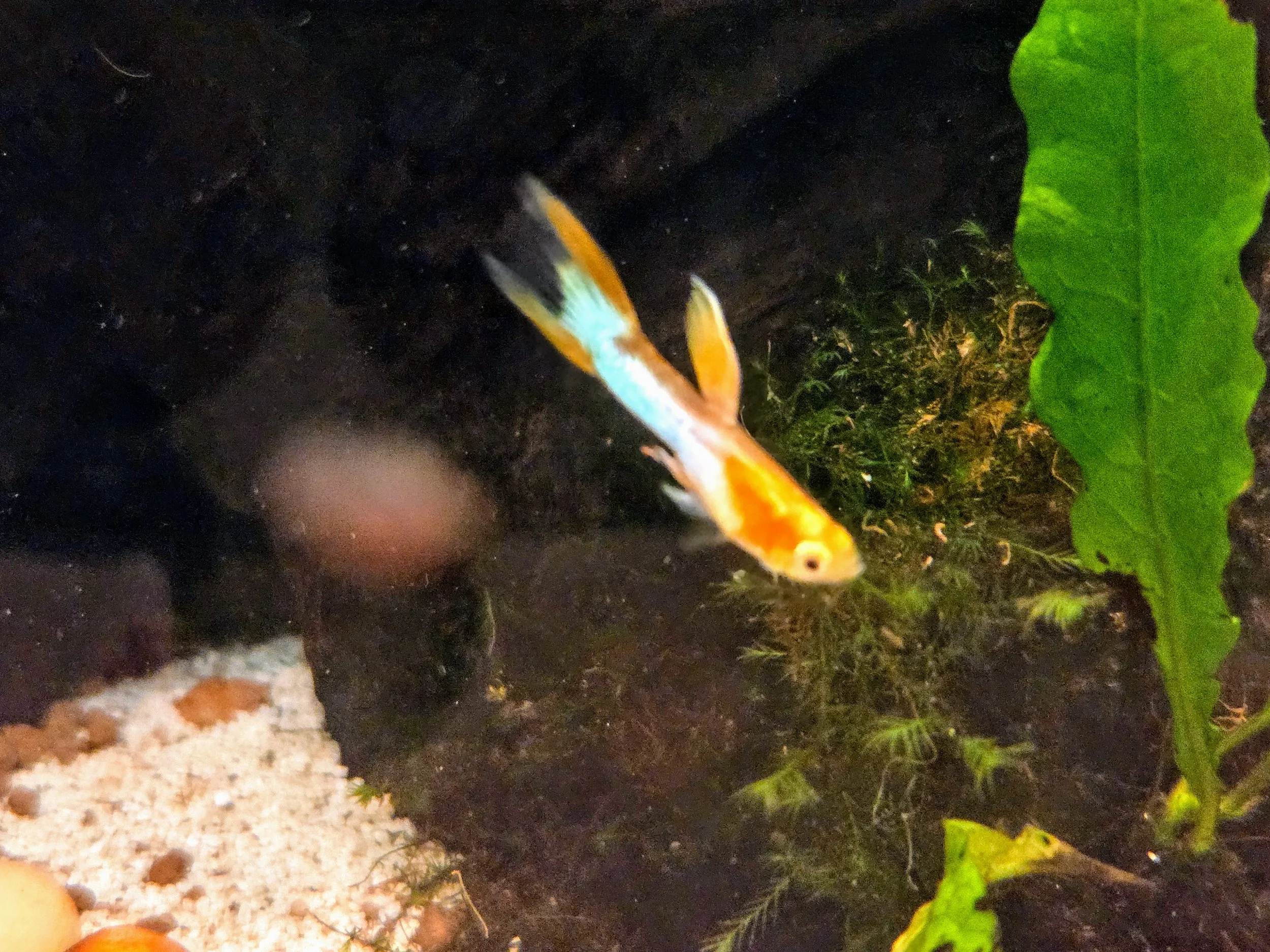 20260816_125140.jpg
