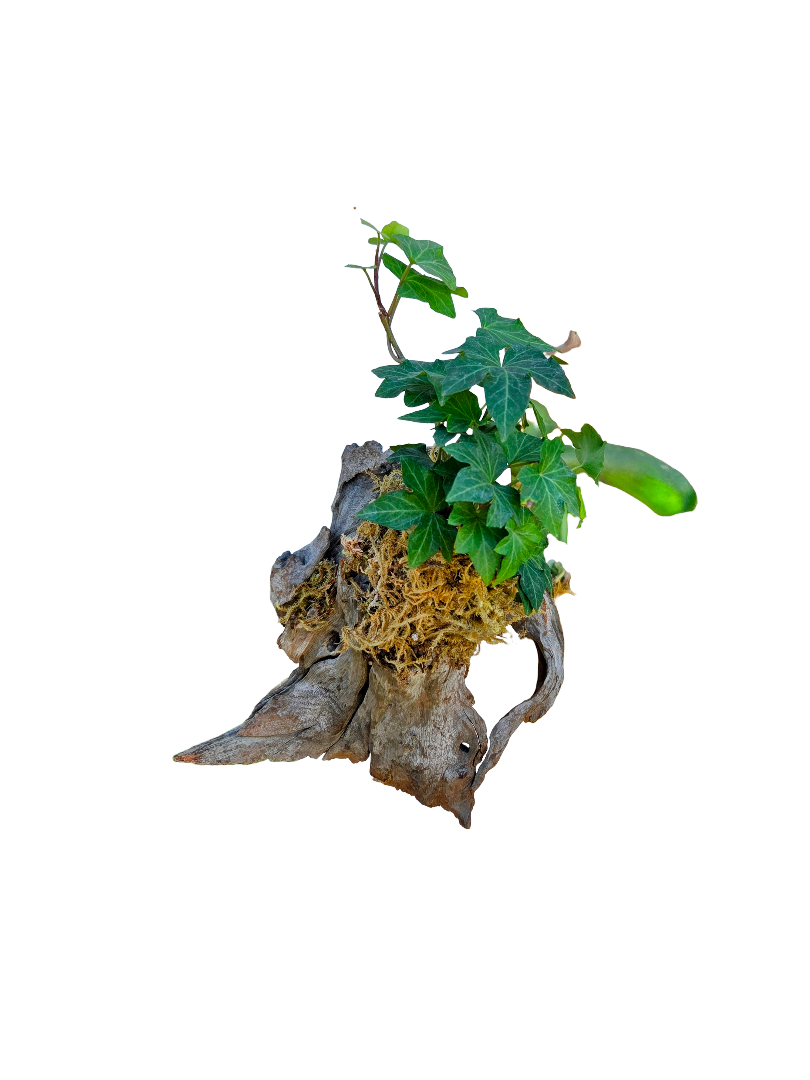 20260915_143525-EDIT (1).png