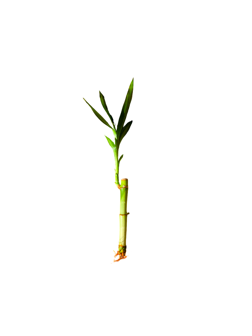 20260918_155113-EDIT.png