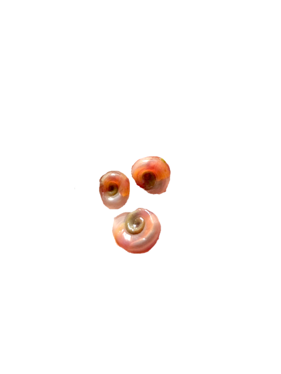 20260827_155906+%281%29+%281%29.png