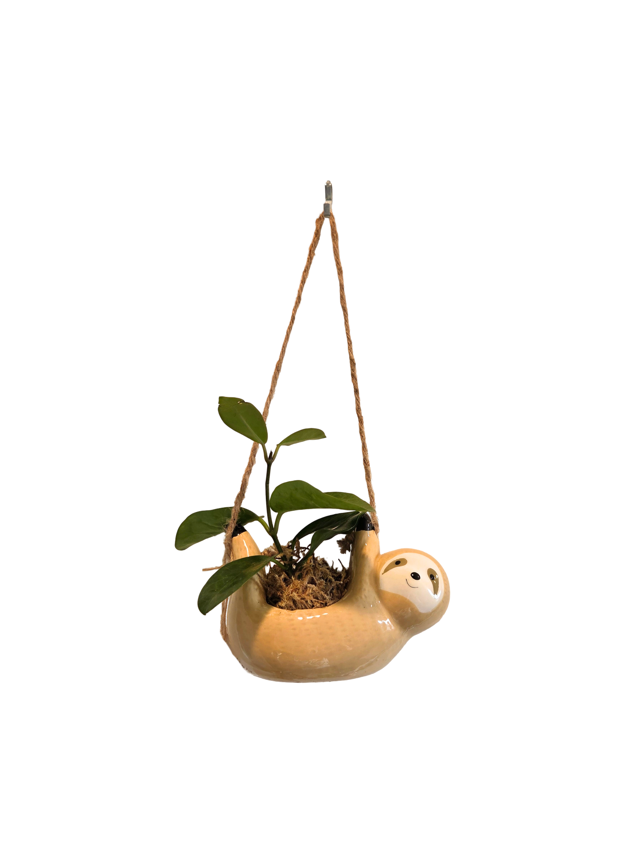 Untitled Design (8).png