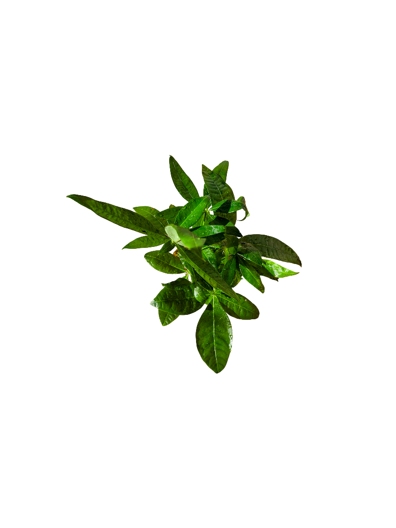 20260918_160814-EDIT.png