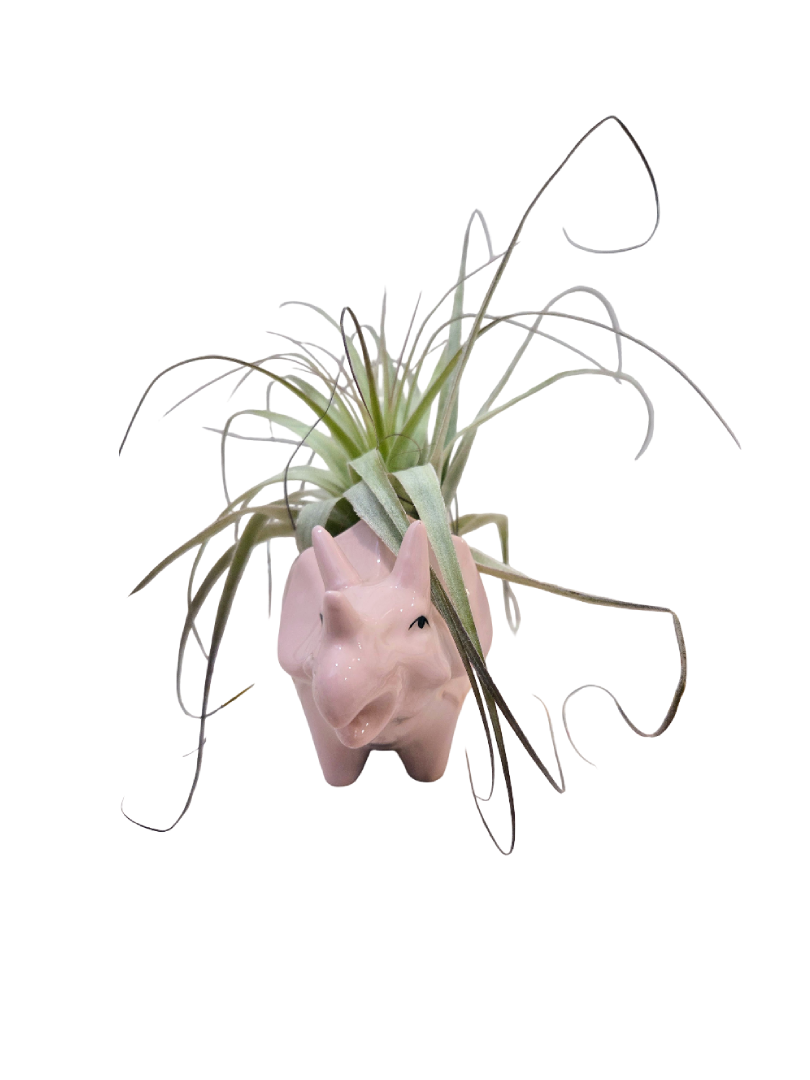 20260824_143530.png