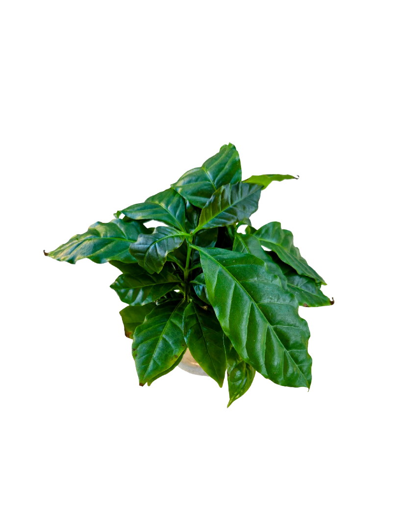 20260915_144620-EDIT.png