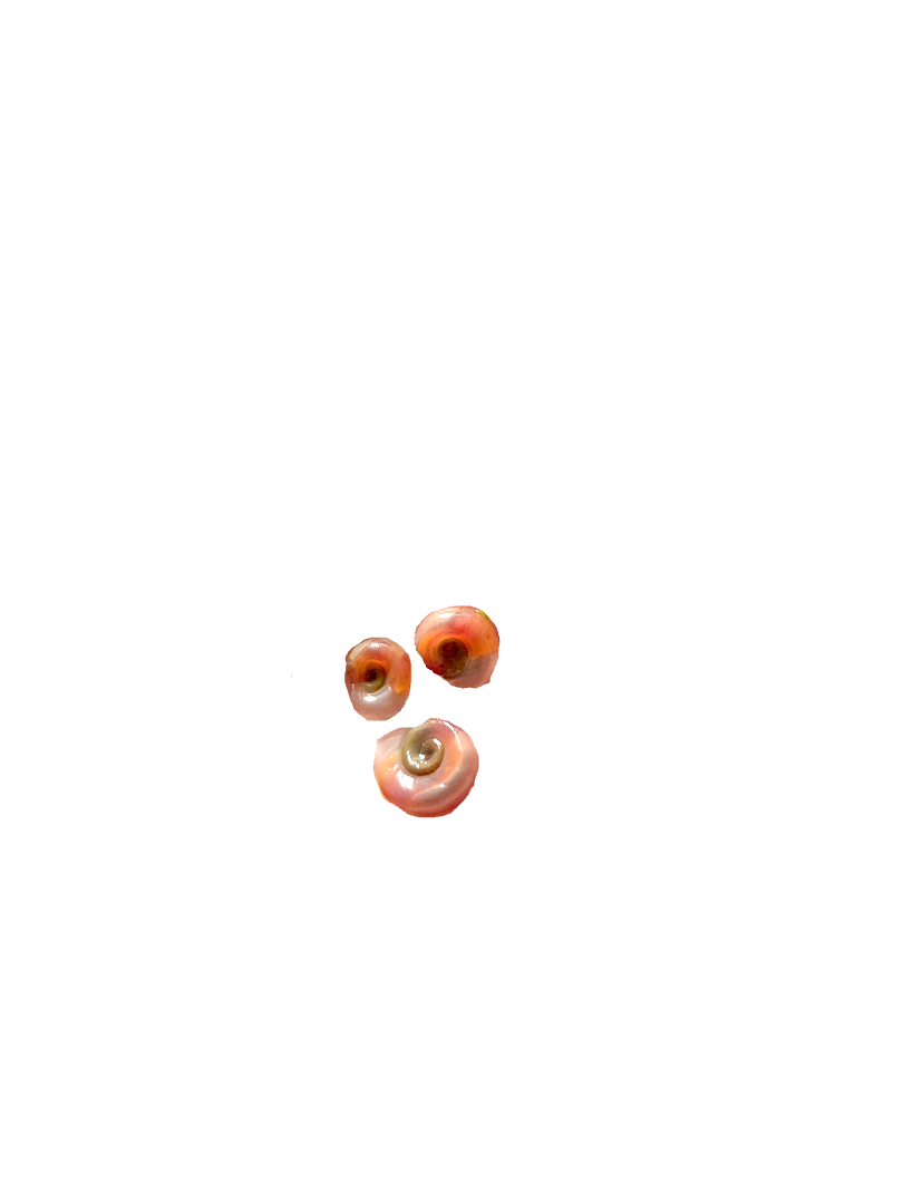 20260827_155906 (1) (1).png