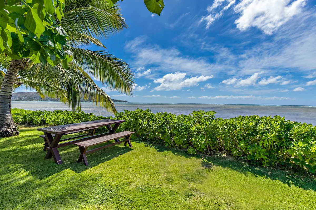 A tropical beach scene with a grassy area, a wooden picnic table, palm trees, green bushes, and an ocean with a blue sky and white clouds in the background.