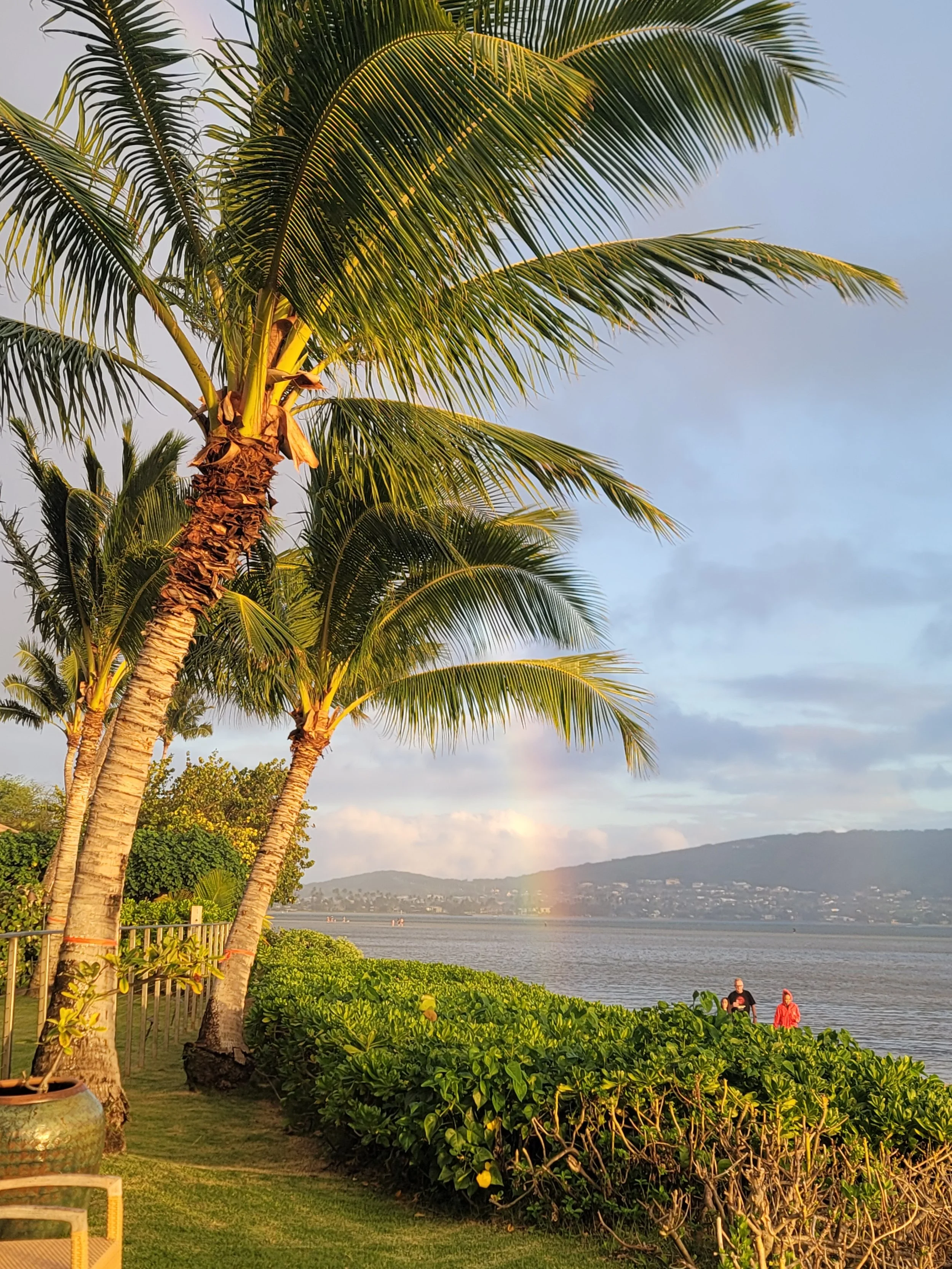 A scenic view of palm trees by a body of water in the late afternoon, with a clear sky and a few clouds. Two people are walking along the shoreline, and hills and buildings are visible in the distance.