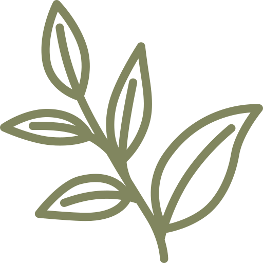 Simple illustrated drawing of a plant branch with leaves.