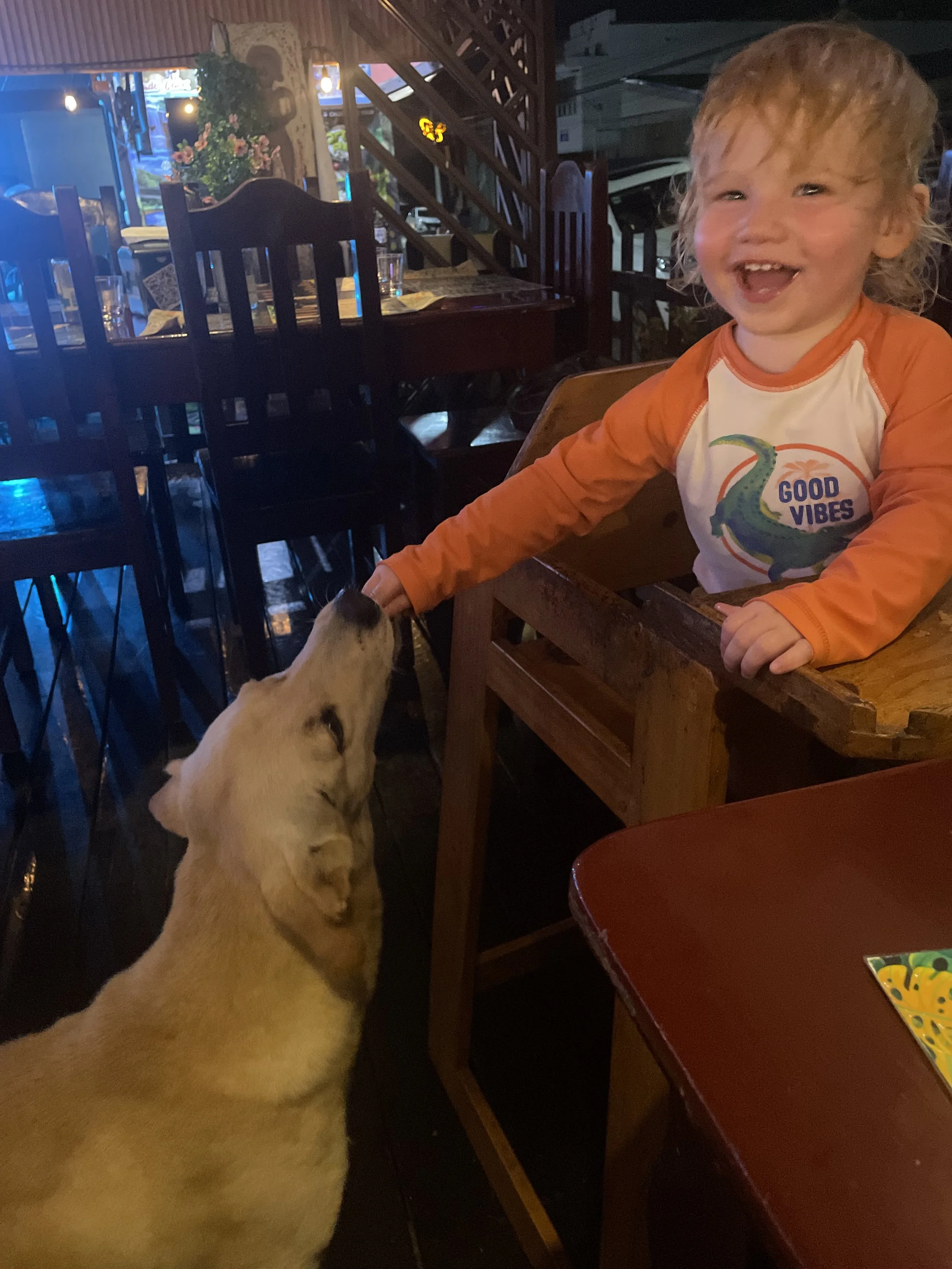 A young child with curly blond hair, smiling and sitting at a wooden table in a restaurant, looking at a large dog, likely a Labrador Retriever, that is sitting nearby and looking up at the child.