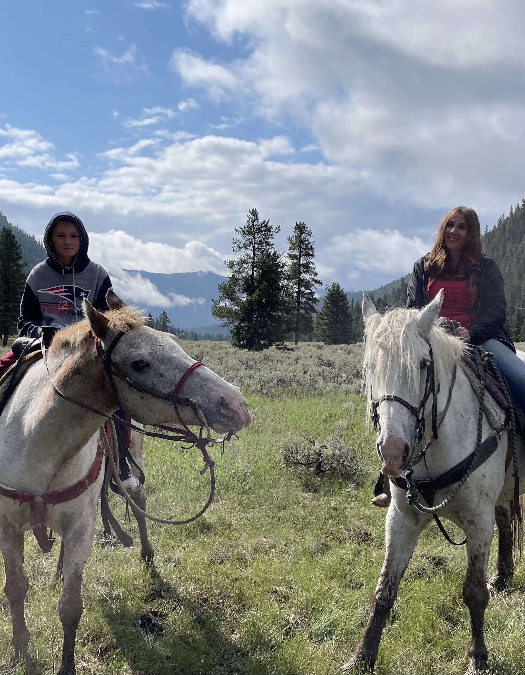 Two children riding horses in a grassy field with trees and mountains in the background under a partly cloudy sky.
