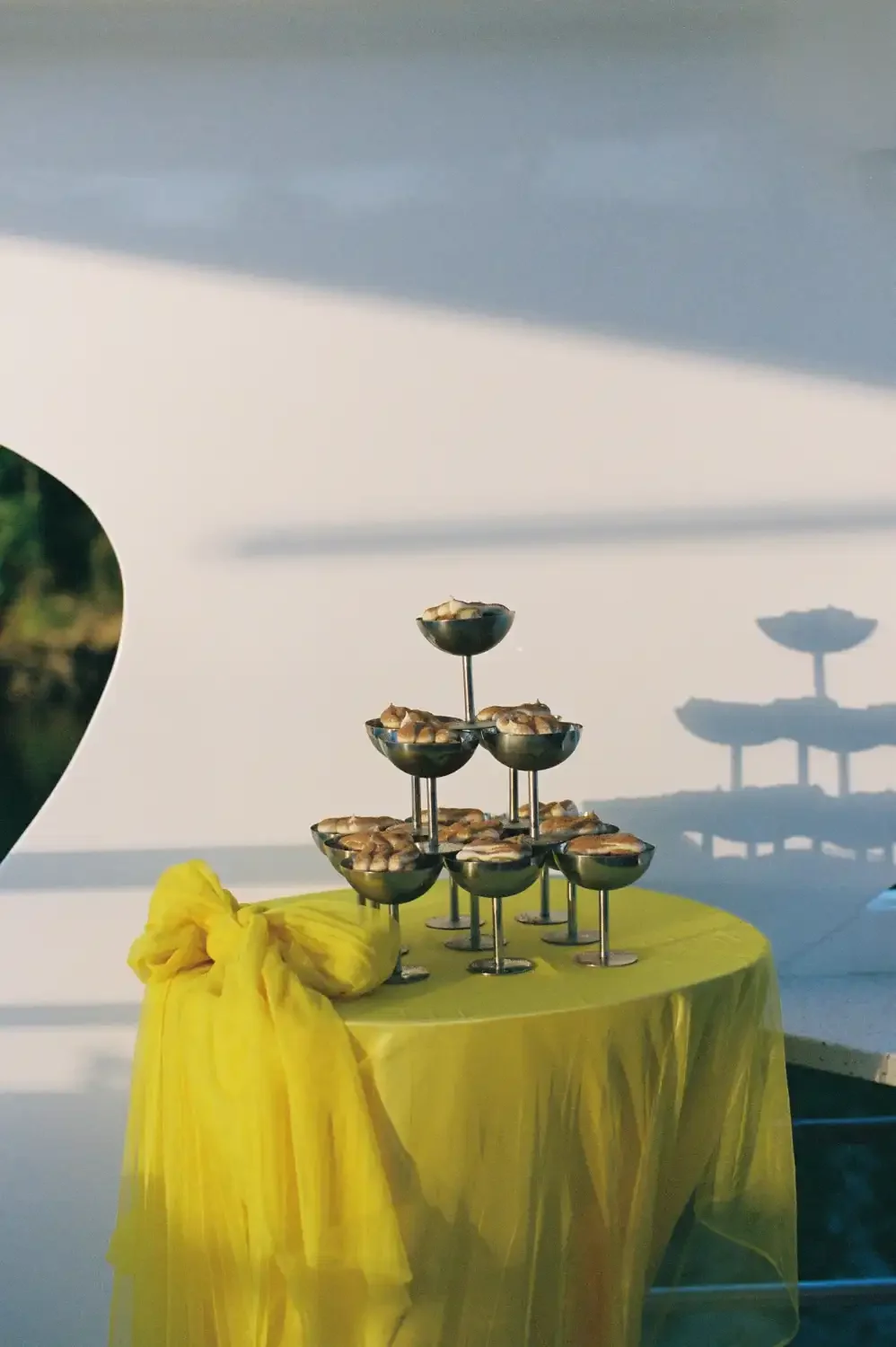 MV Jasmine-8.webp