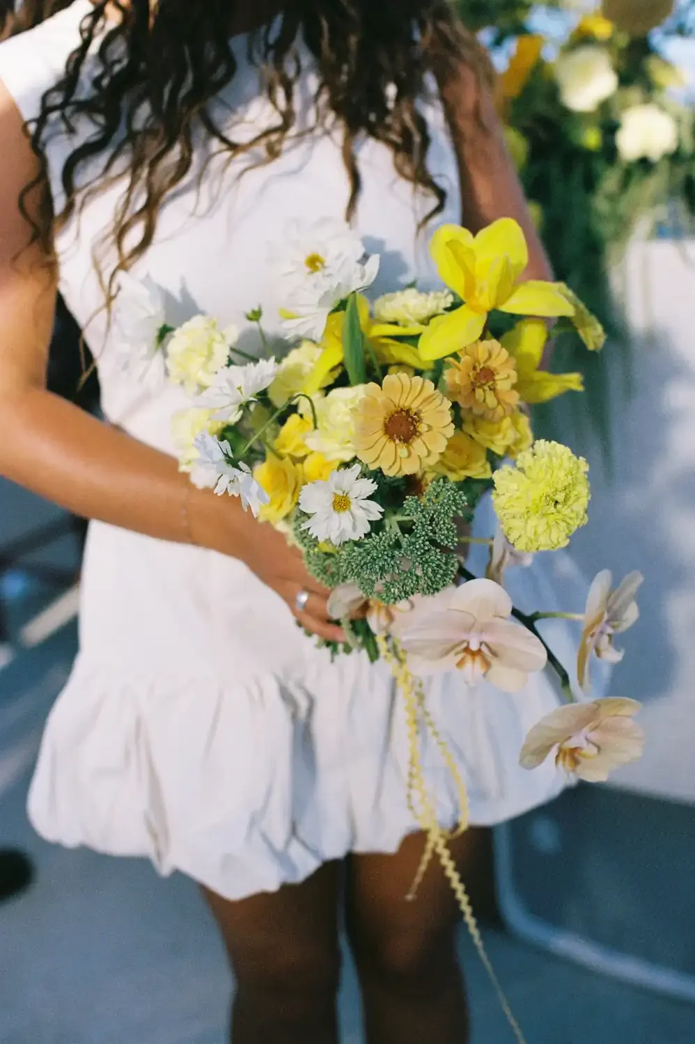 MV Jasmine-13.webp