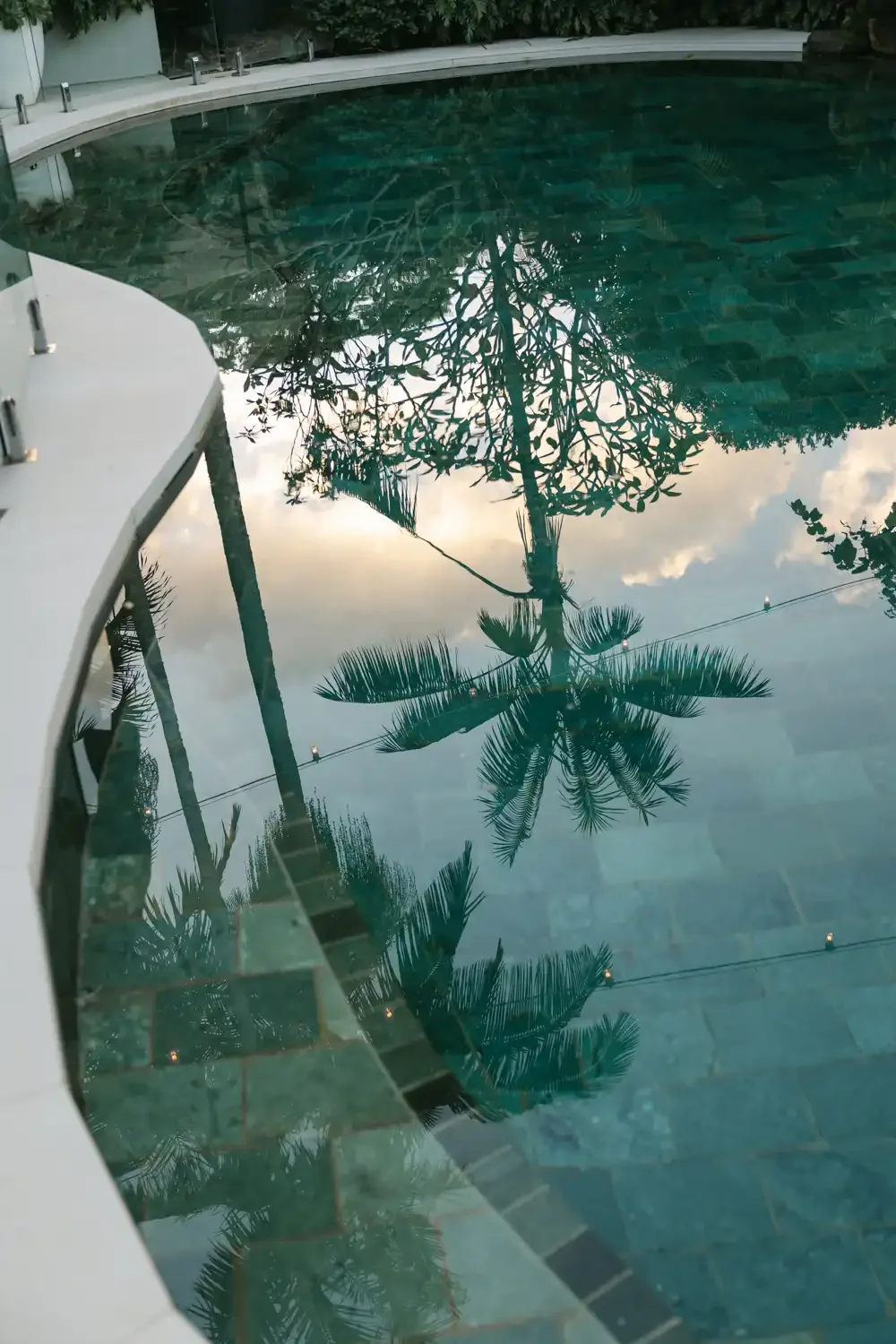Reflection of a palm tree and cloudy sky in a swimming pool with tiled bottom, surrounded by a white curved edge and tropical plants.