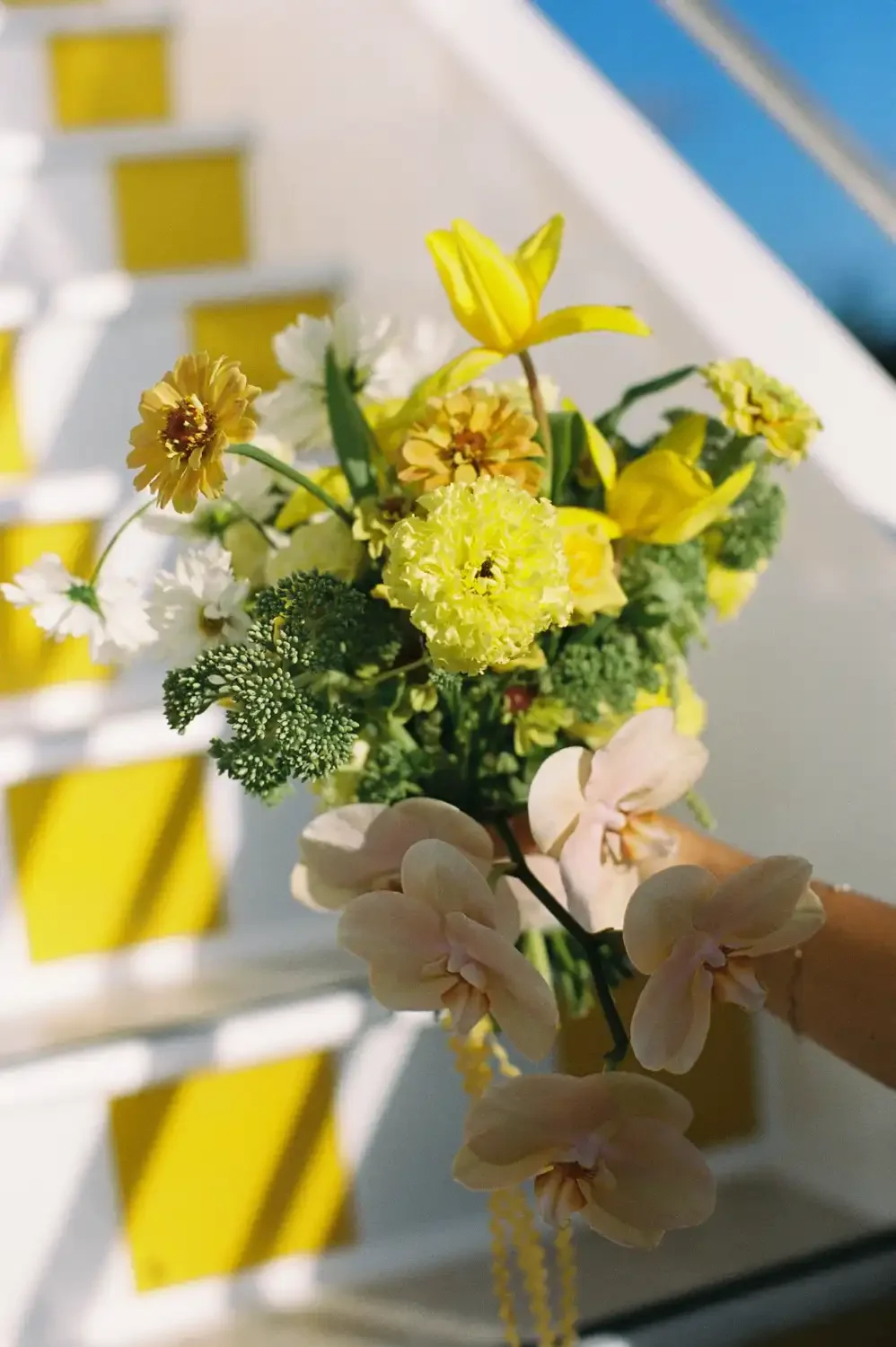 MV Jasmine-43.webp