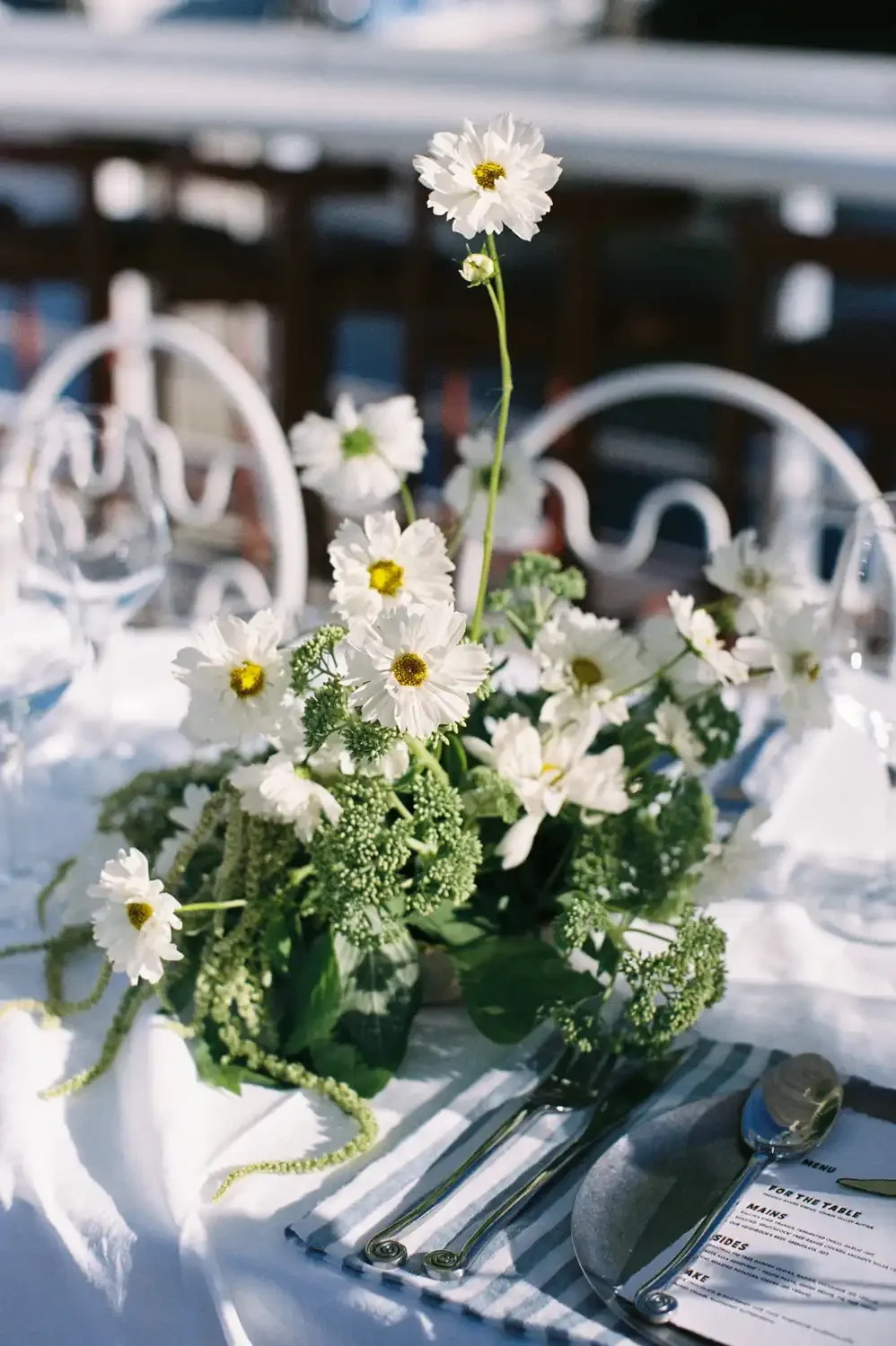 MV Jasmine-33.webp