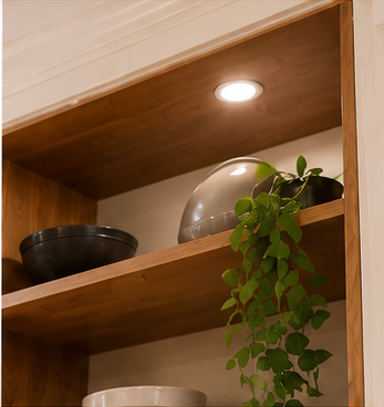 Wooden kitchen shelf with bowls, a decorative object, and a trailing green plant.