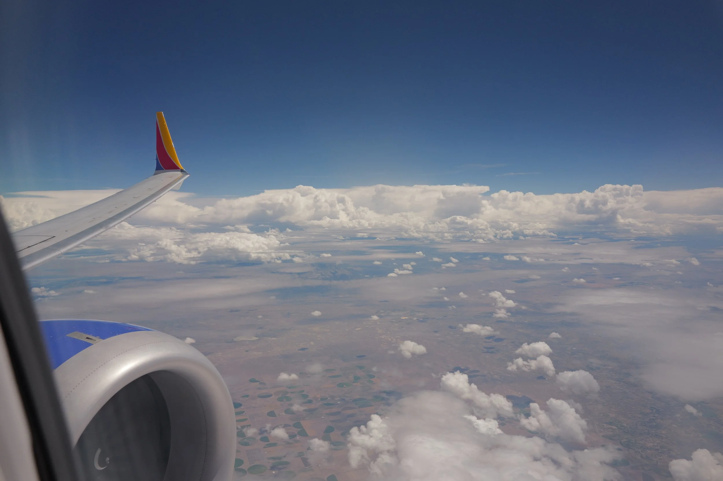 L1040474.jpg