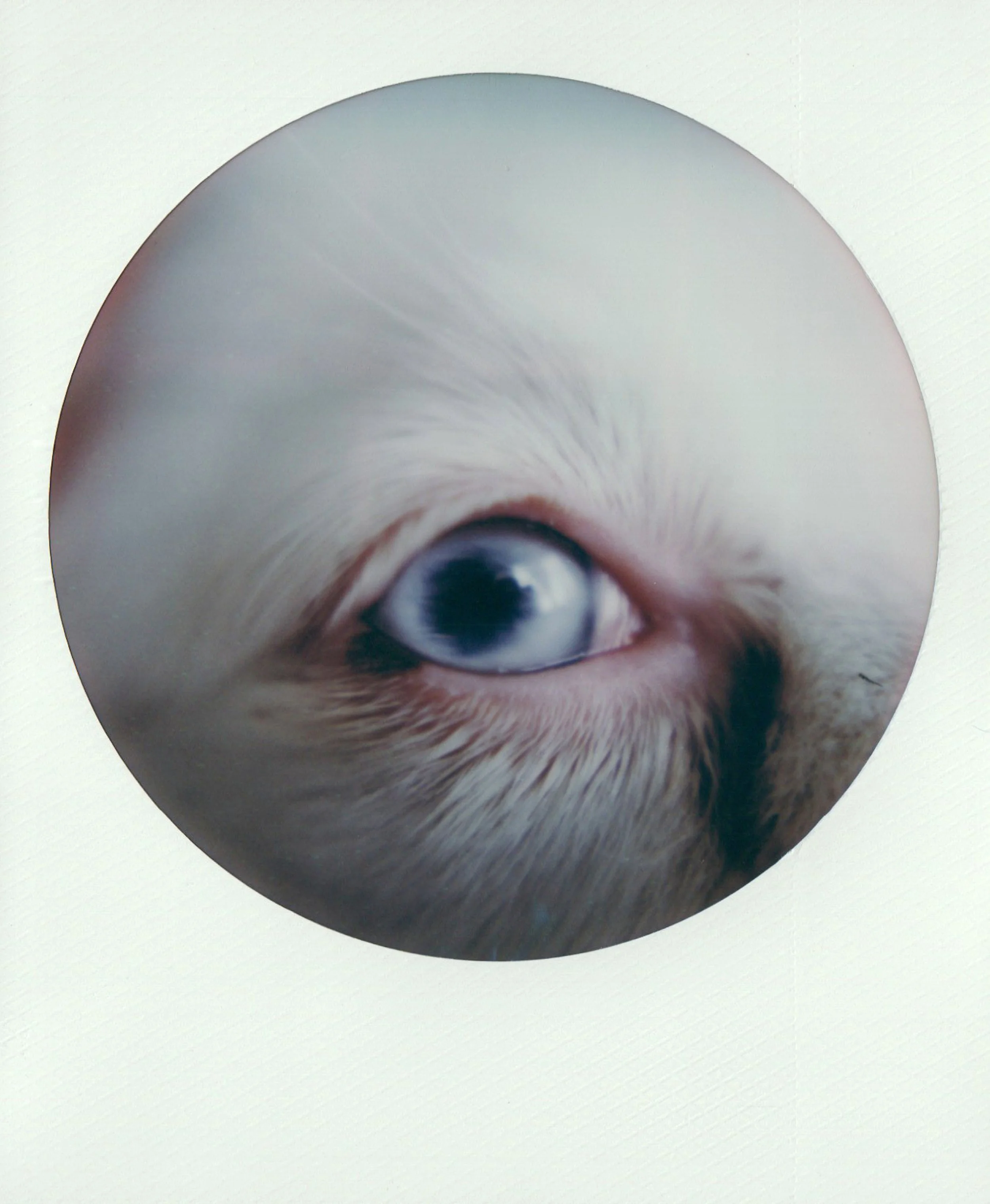 namias0320.jpg