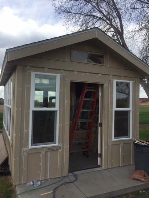Small beige shed with white-framed windows, an open door, a ladder inside, and a slanted roof, situated outdoors near a grassy area with a tree in the background.