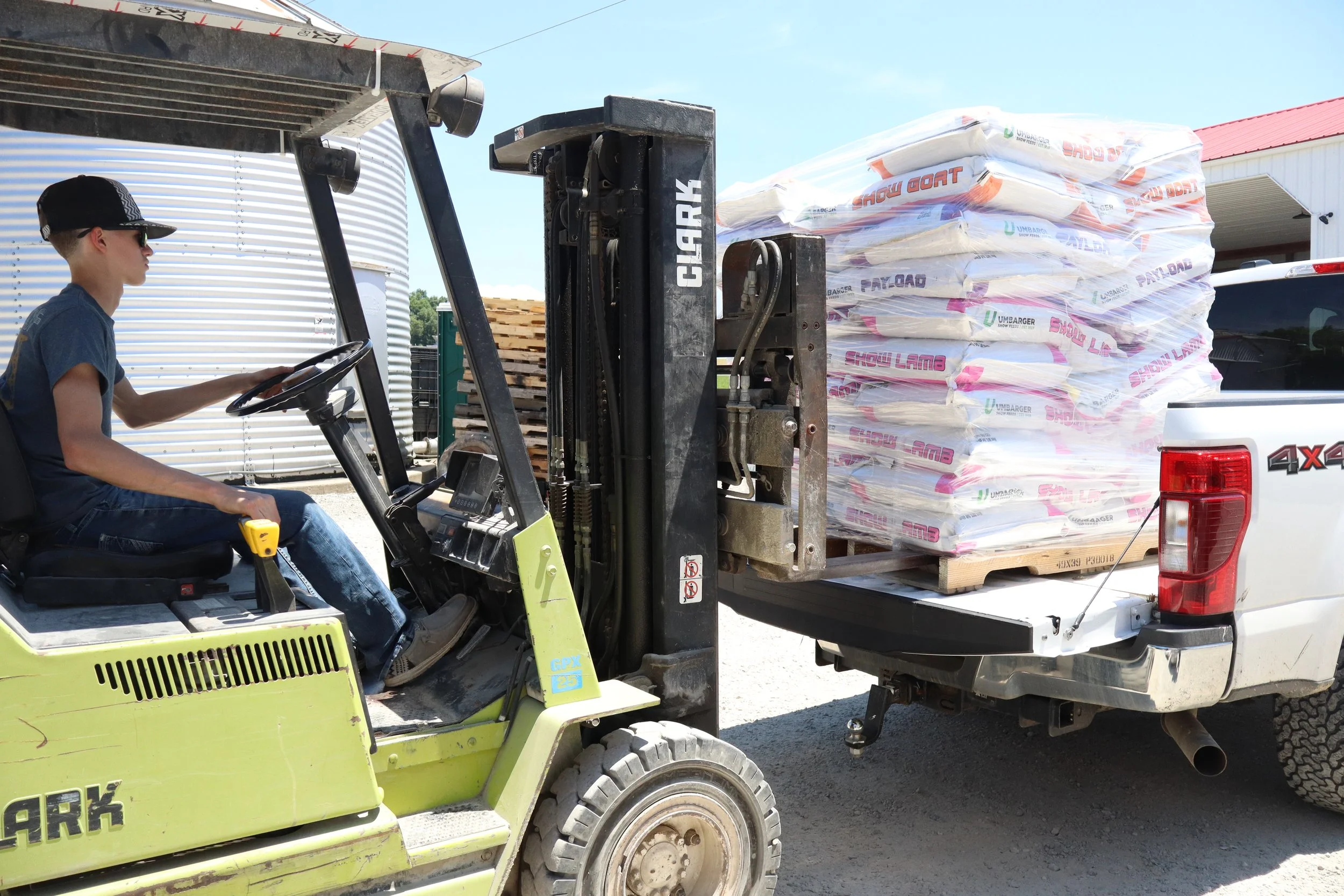 a forklift putting a palette of livestock feed in the back of a pickup truck