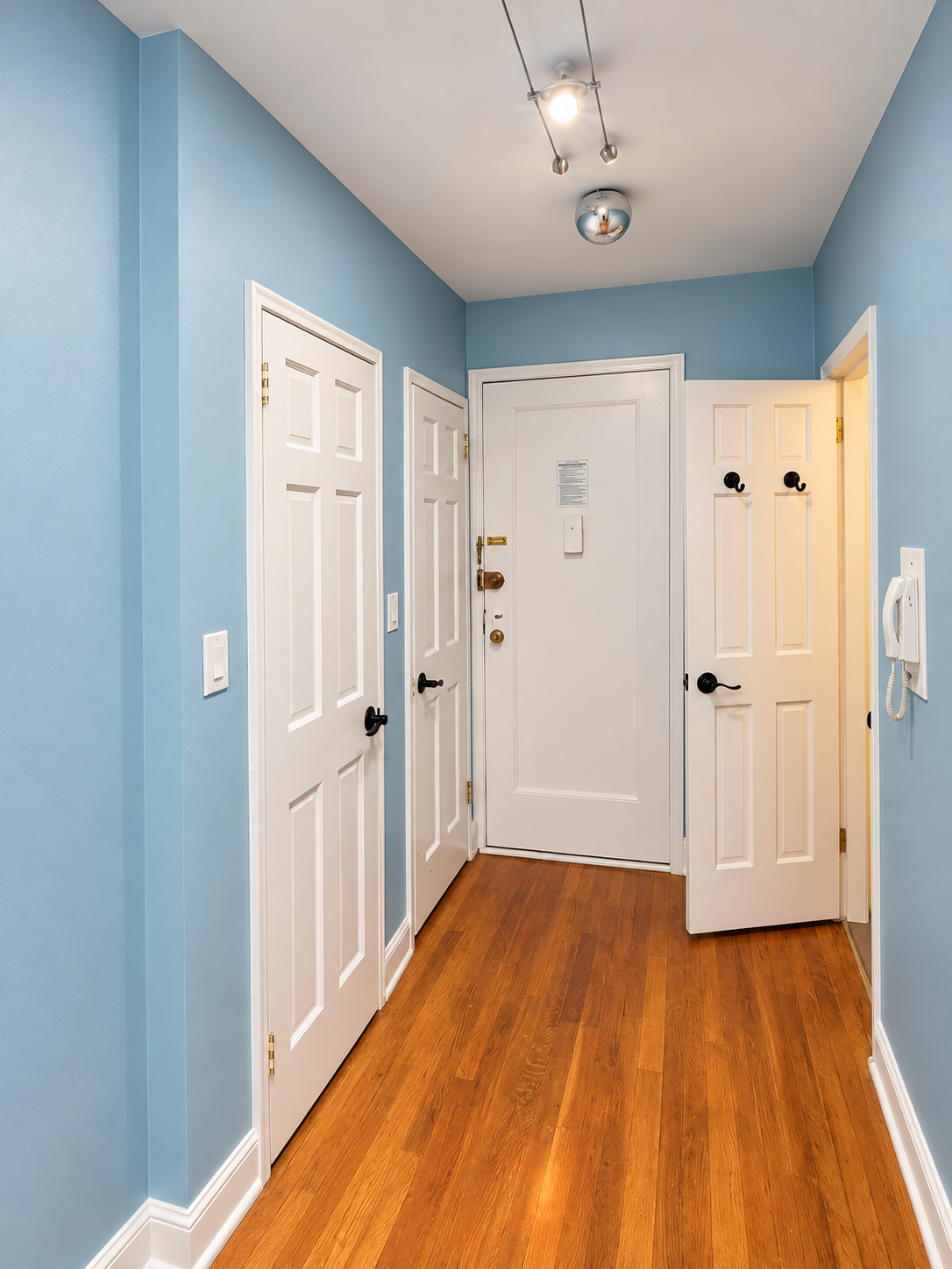 Vestíbulo con paredes azul claro, varias puertas blancas con manijas negras, piso de madera y luz en el techo.