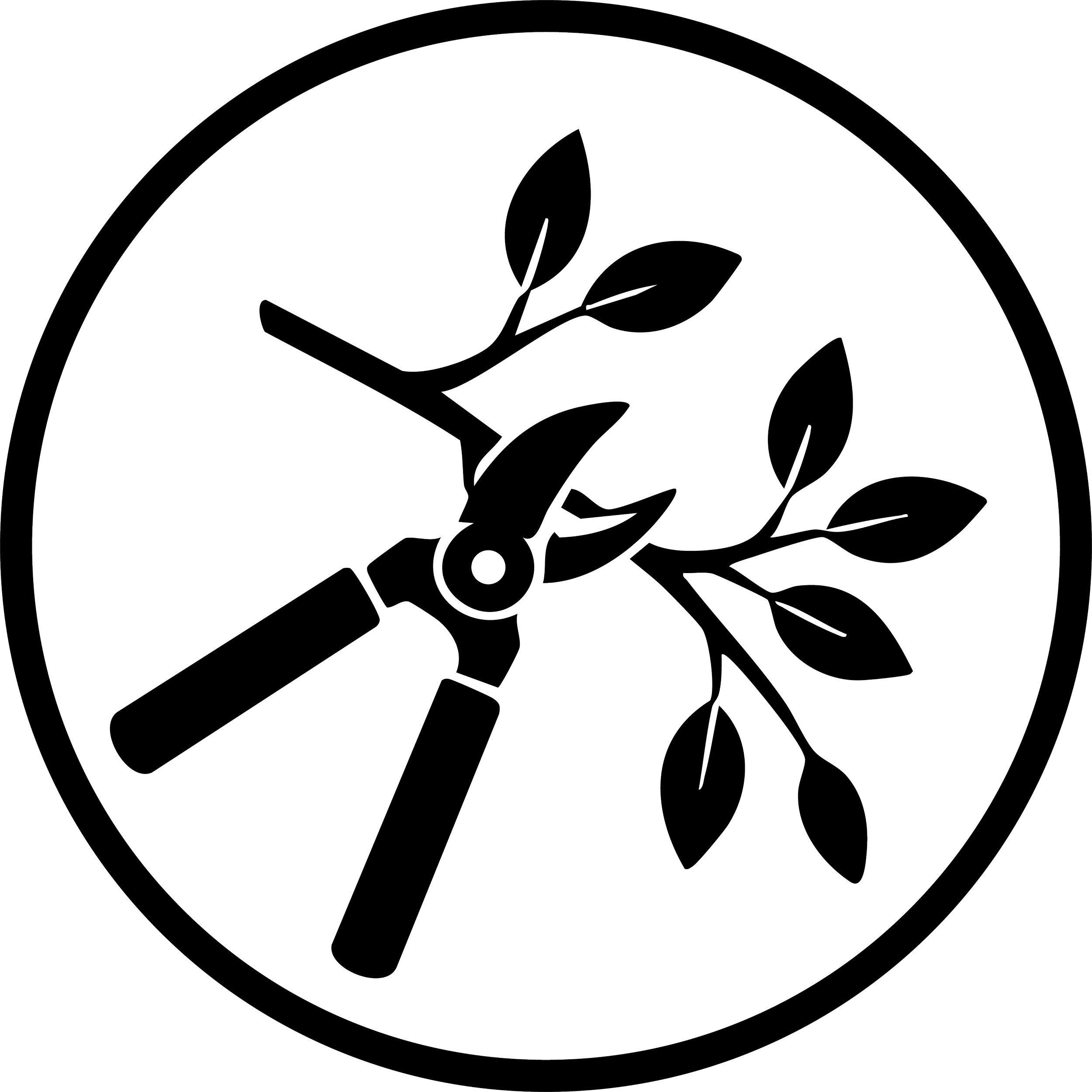 An outline drawing of a flower with several leaves inside a circle.