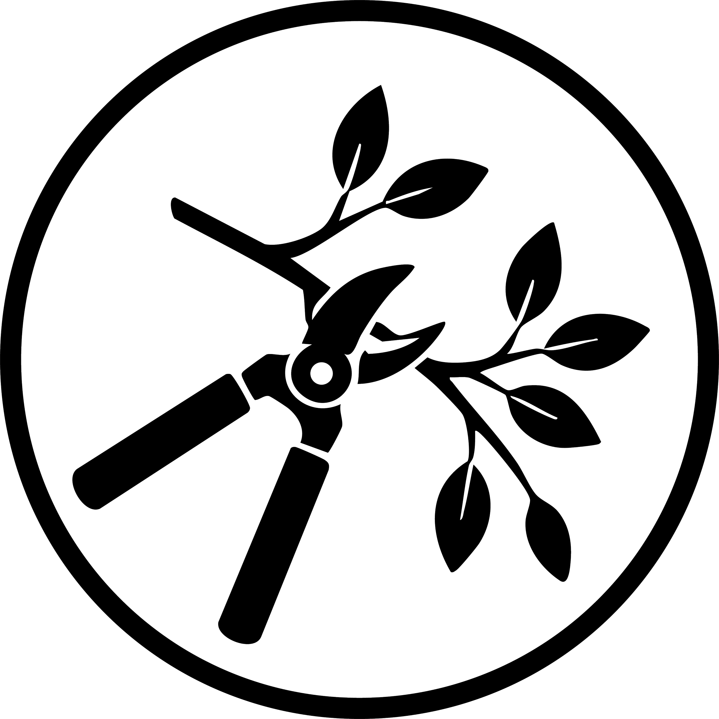 Outline drawing of a sunflower in a circular shape