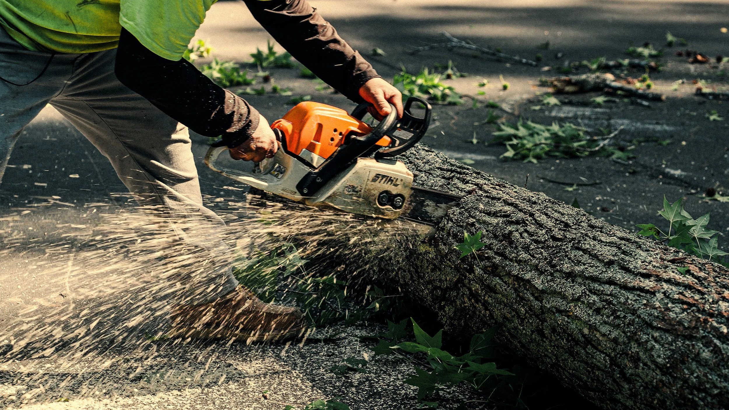 Person cutting a fallen tree trunk with a chainsaw on the ground, surrounded by wood chips and small green plants.