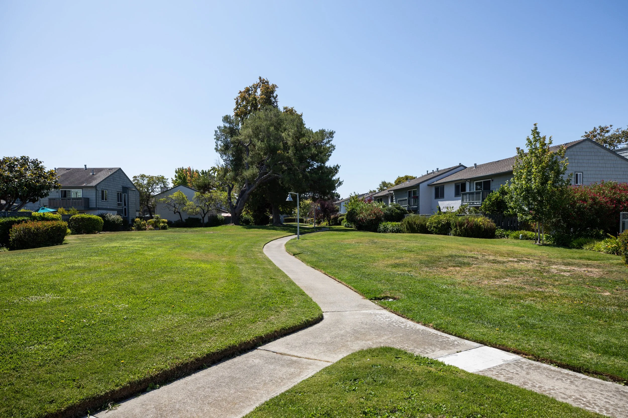 33-Erickson_Matt_Anello-6397-MLS.jpg