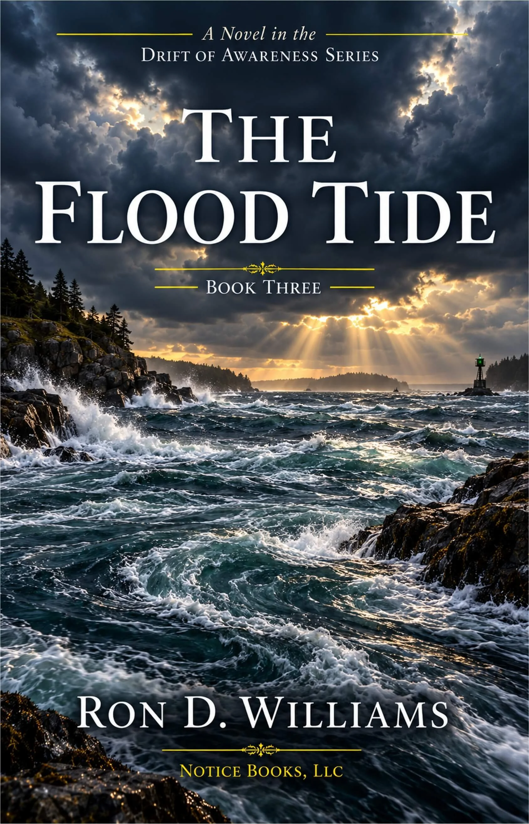 Drift Awarenes The Flood Tide (1688 x 2625 px) copy.jpg