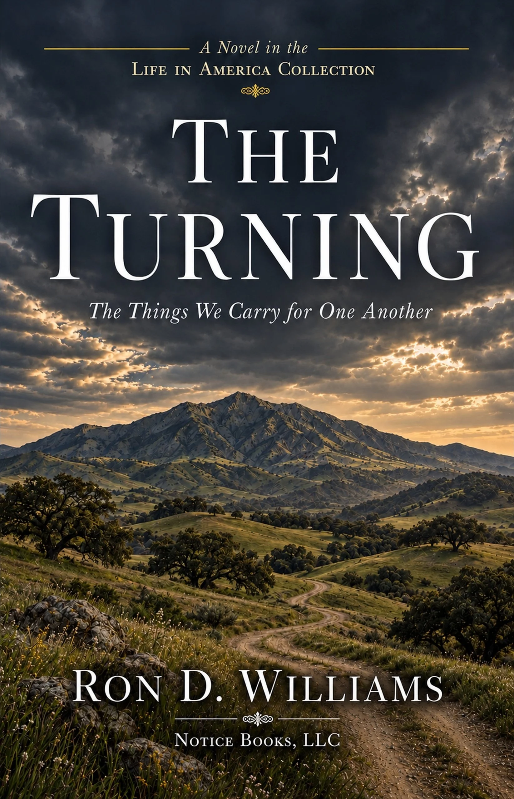 The-Turning-Kindle.jpg