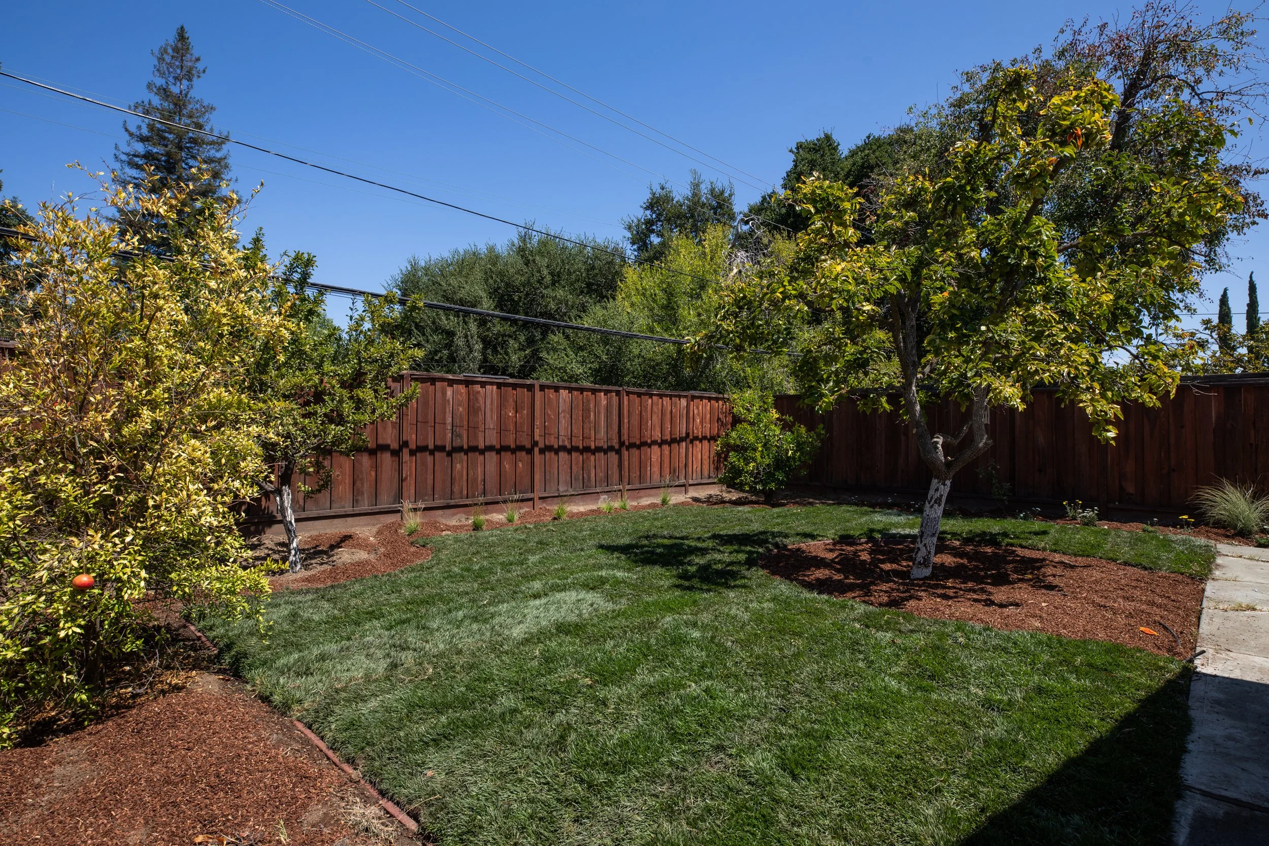 26-Bollinger_Matt_Anello-6441-MLS.jpg