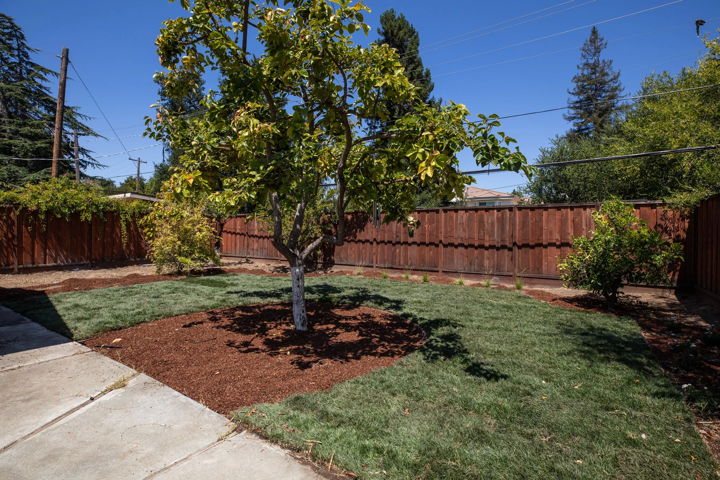 24-Bollinger_Matt_Anello-6438-MLS.jpg
